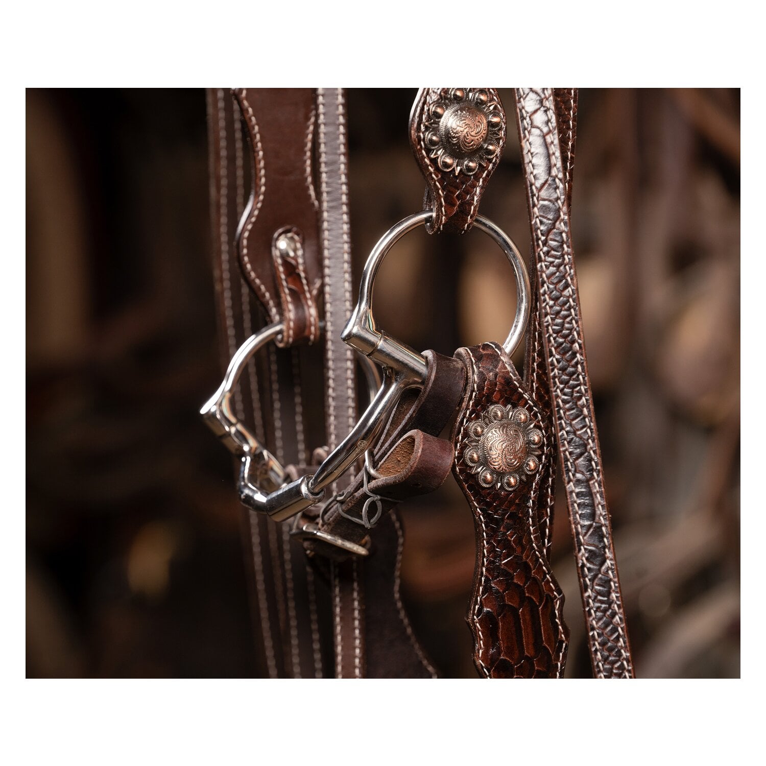 Passion 4Q Westernzügel &ndash; Ansicht 4