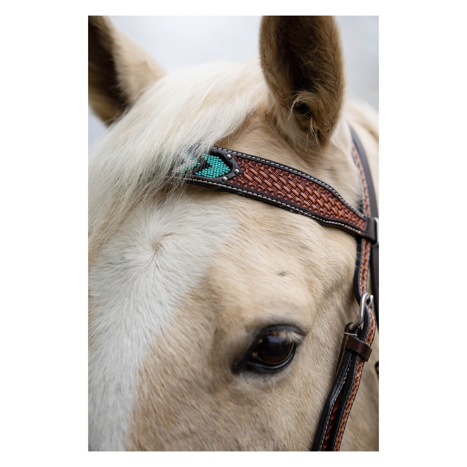 L-pro West Westerntrense &ndash; Ansicht 4