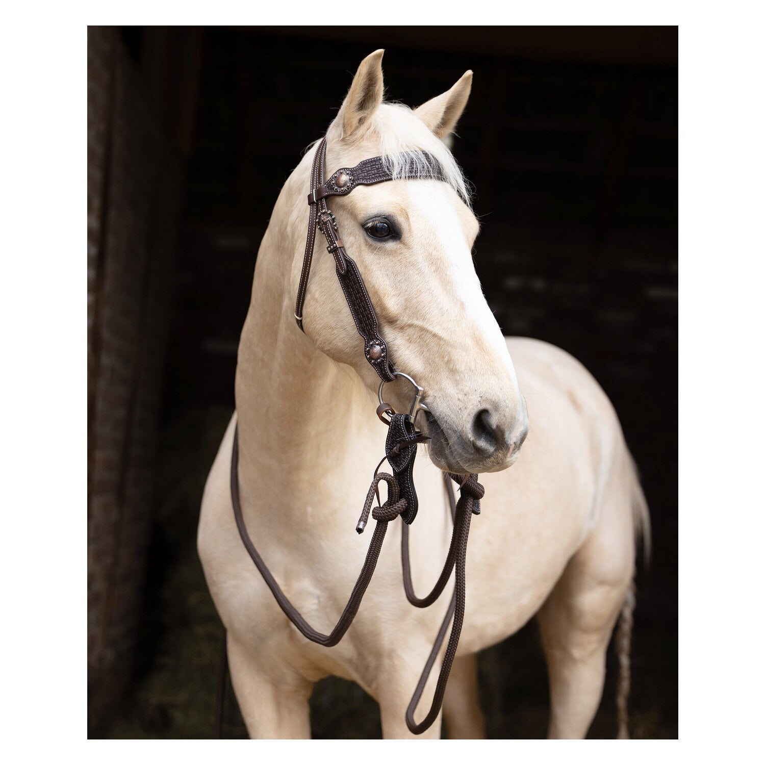 Passion 4Q Western-Trense &ndash; Ansicht 2