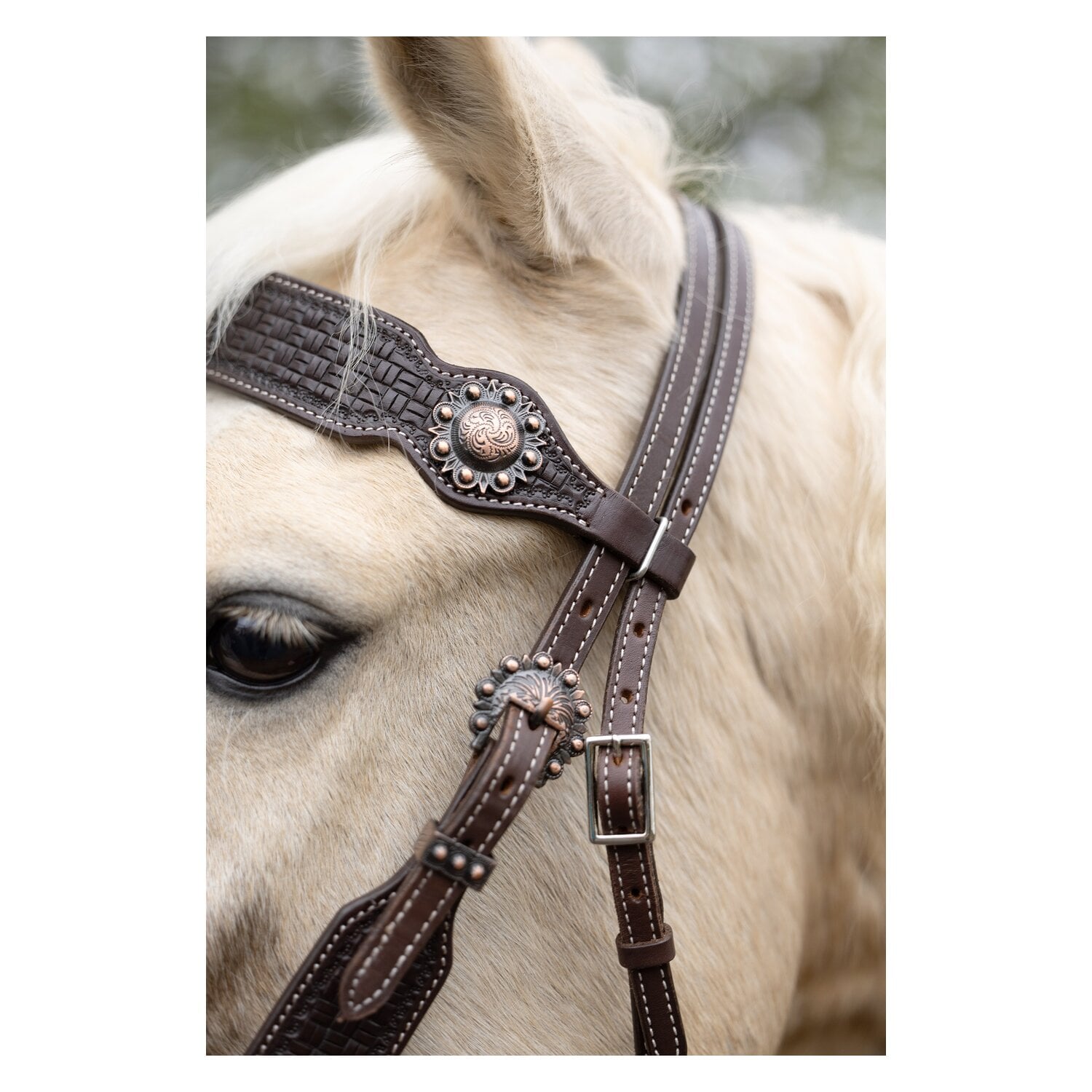Passion 4Q Western-Trense &ndash; Ansicht 3