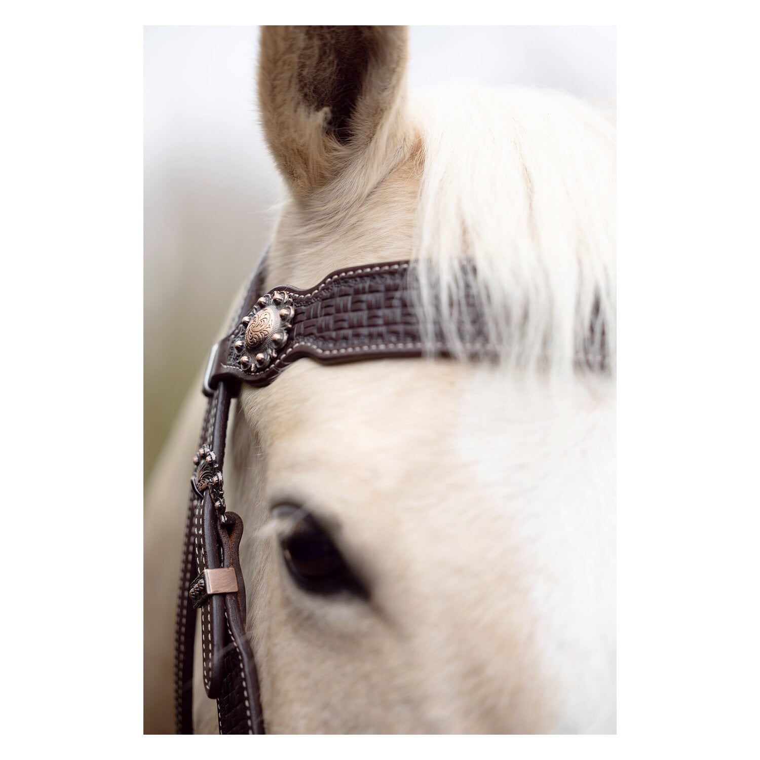 Passion 4Q Western-Trense &ndash; Ansicht 4