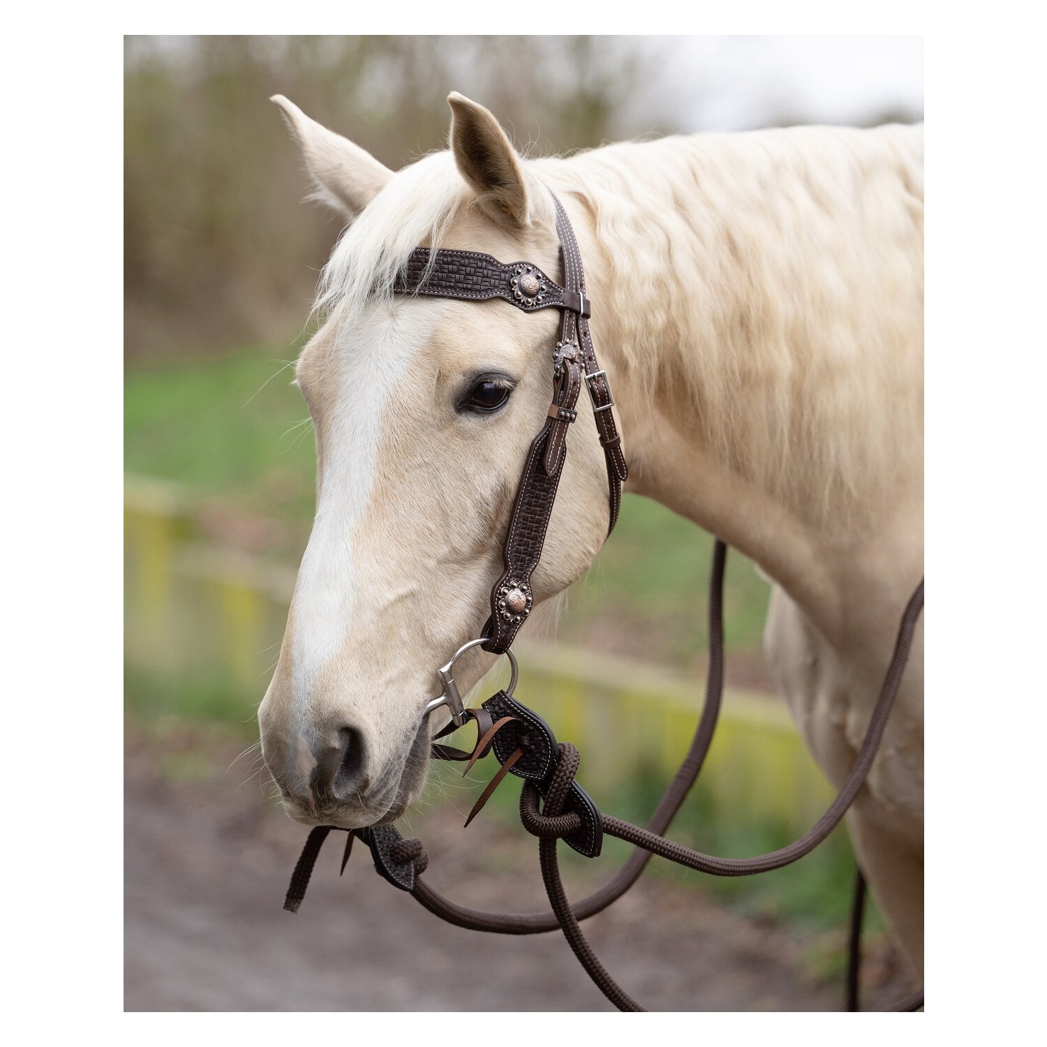 Passion 4Q Western-Trense &ndash; Ansicht 1