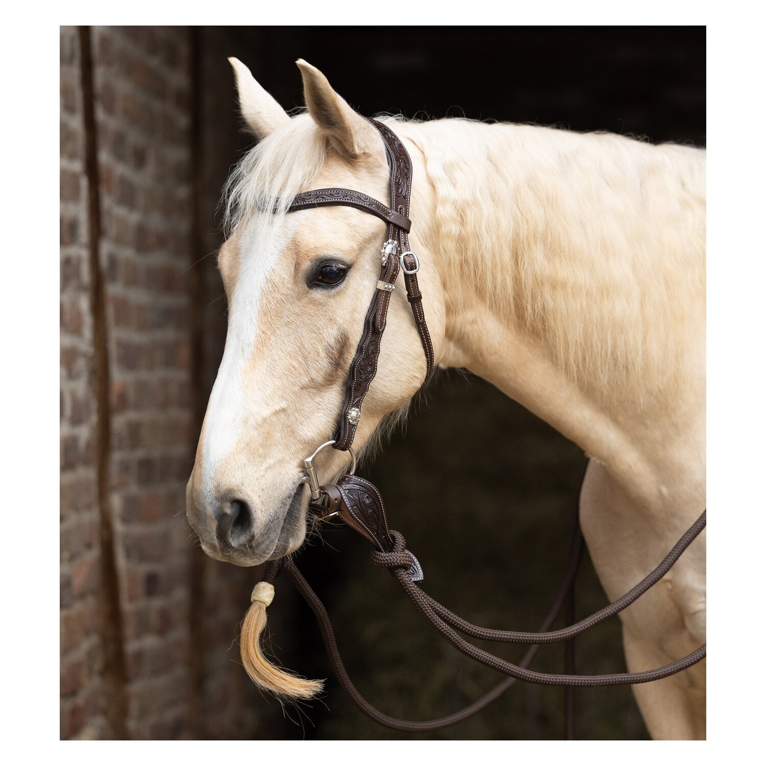 Passion 4Q Westerntrense &ndash; Ansicht 2