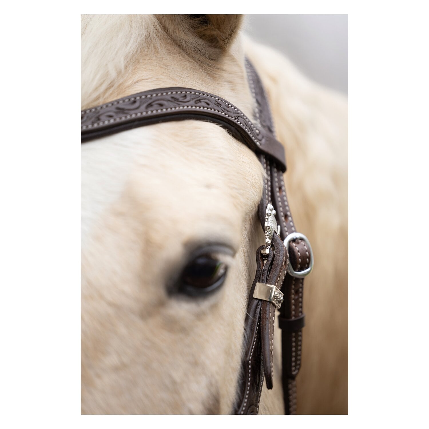Passion 4Q Westerntrense &ndash; Ansicht 3