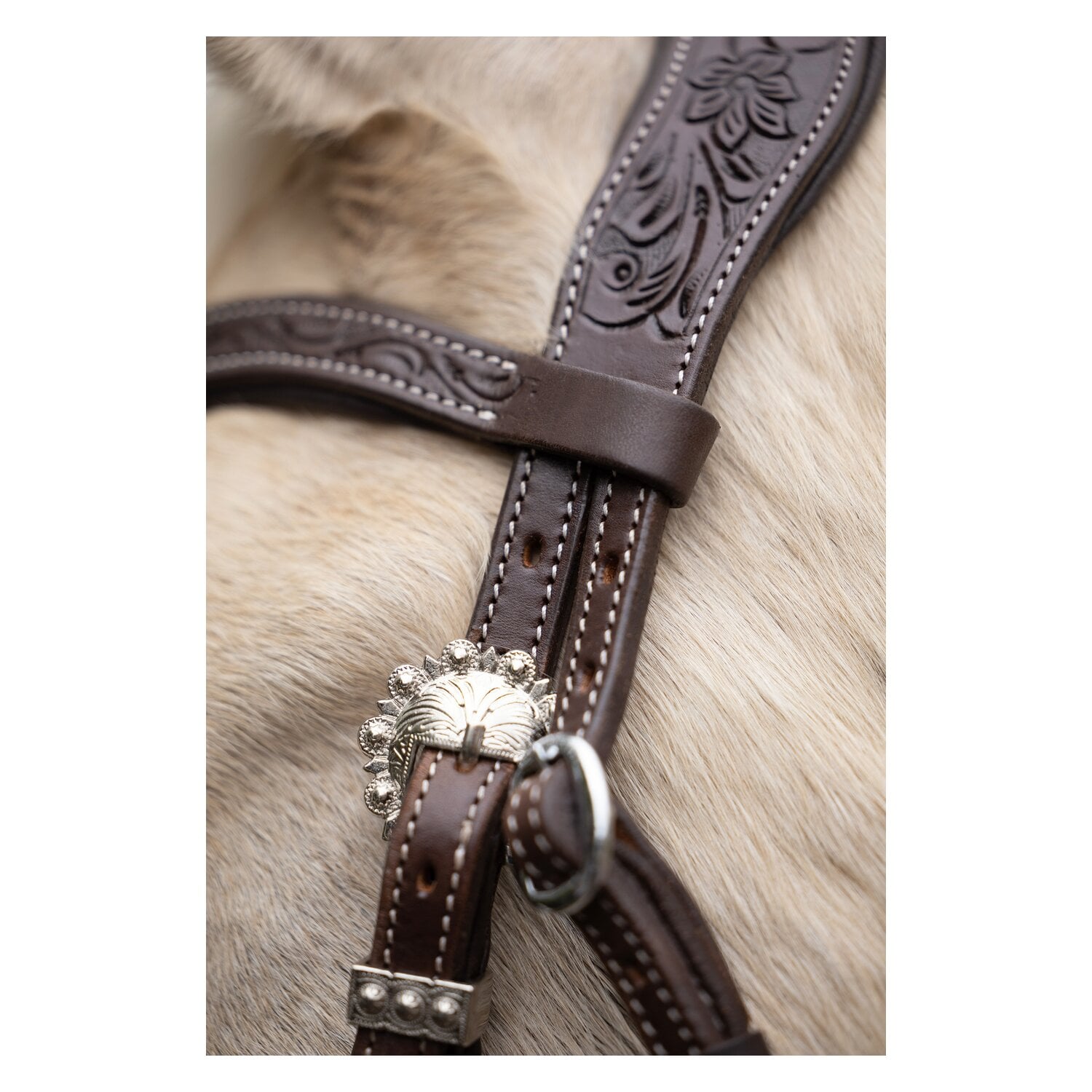 Passion 4Q Westerntrense &ndash; Ansicht 4
