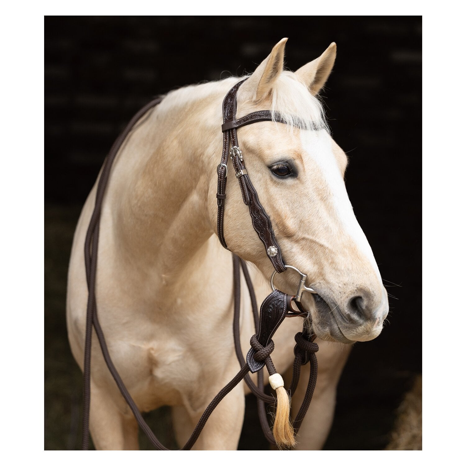 Passion 4Q Westerntrense &ndash; Ansicht 1