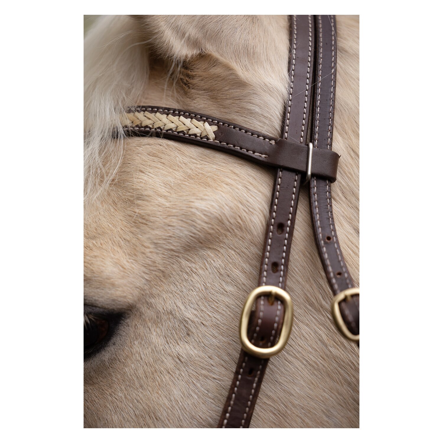 L-pro West Westerntrense &ndash; Ansicht 2