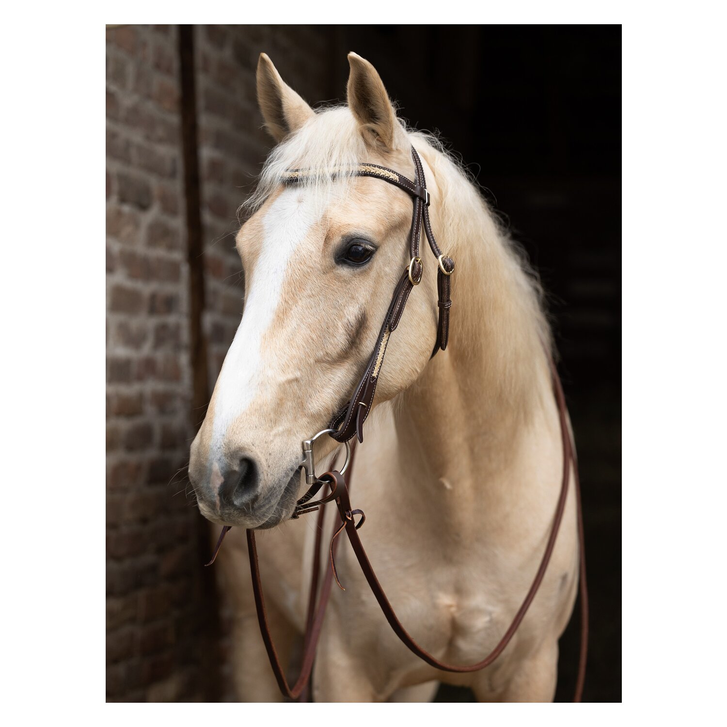 L-pro West Westerntrense &ndash; Ansicht 1