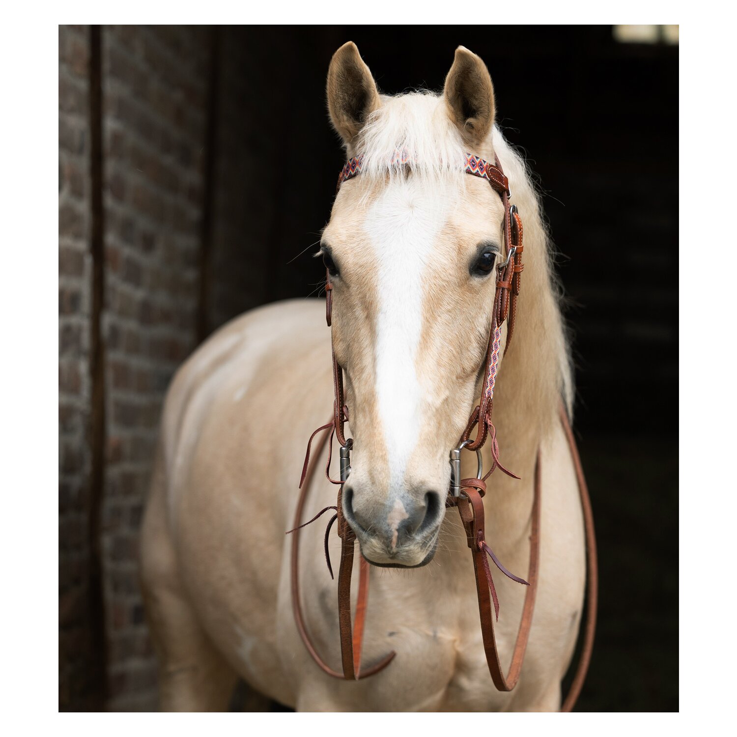 L-pro West Westerntrense &ndash; Ansicht 1