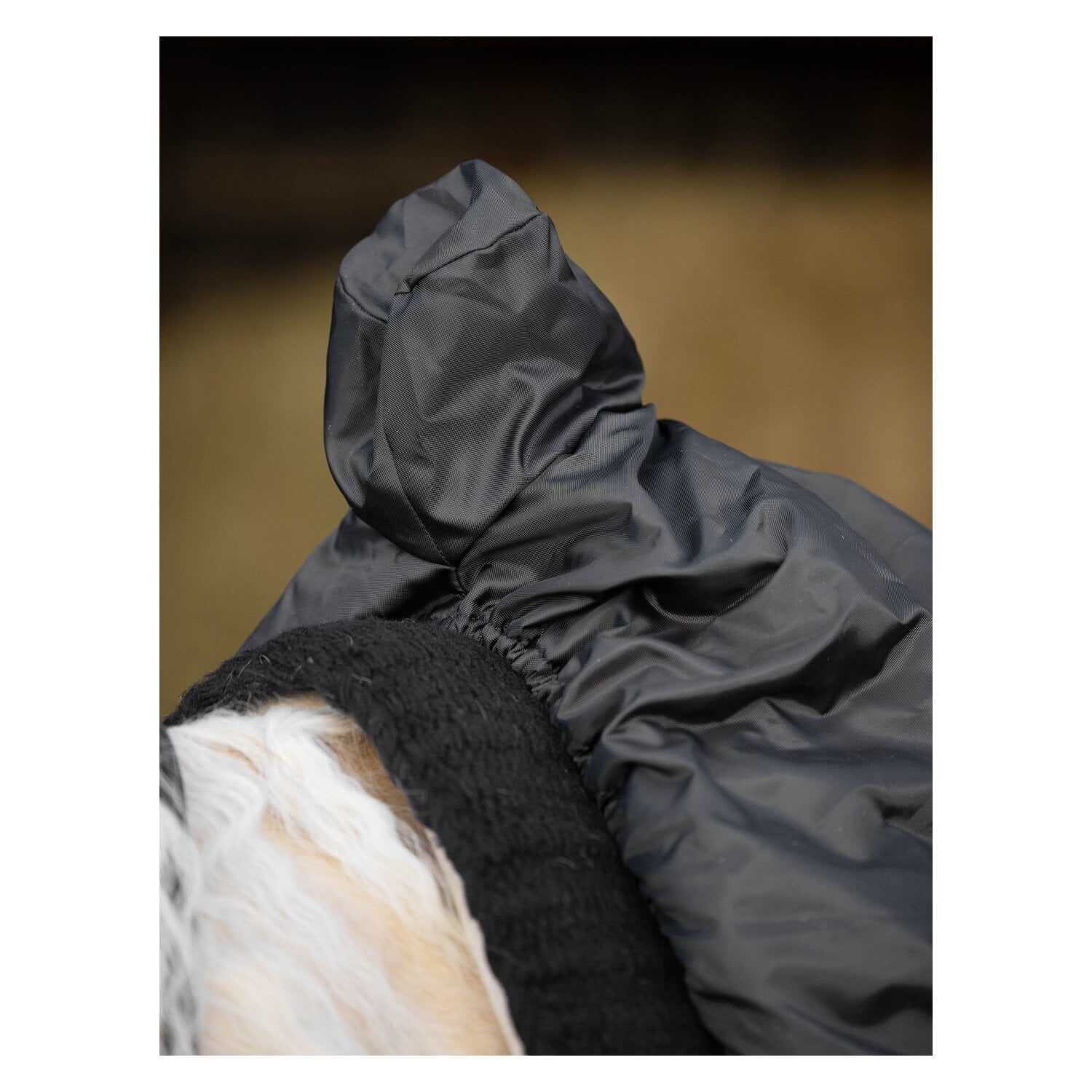 Passion 4Q Western-Sattelschoner &ndash; Ansicht 2