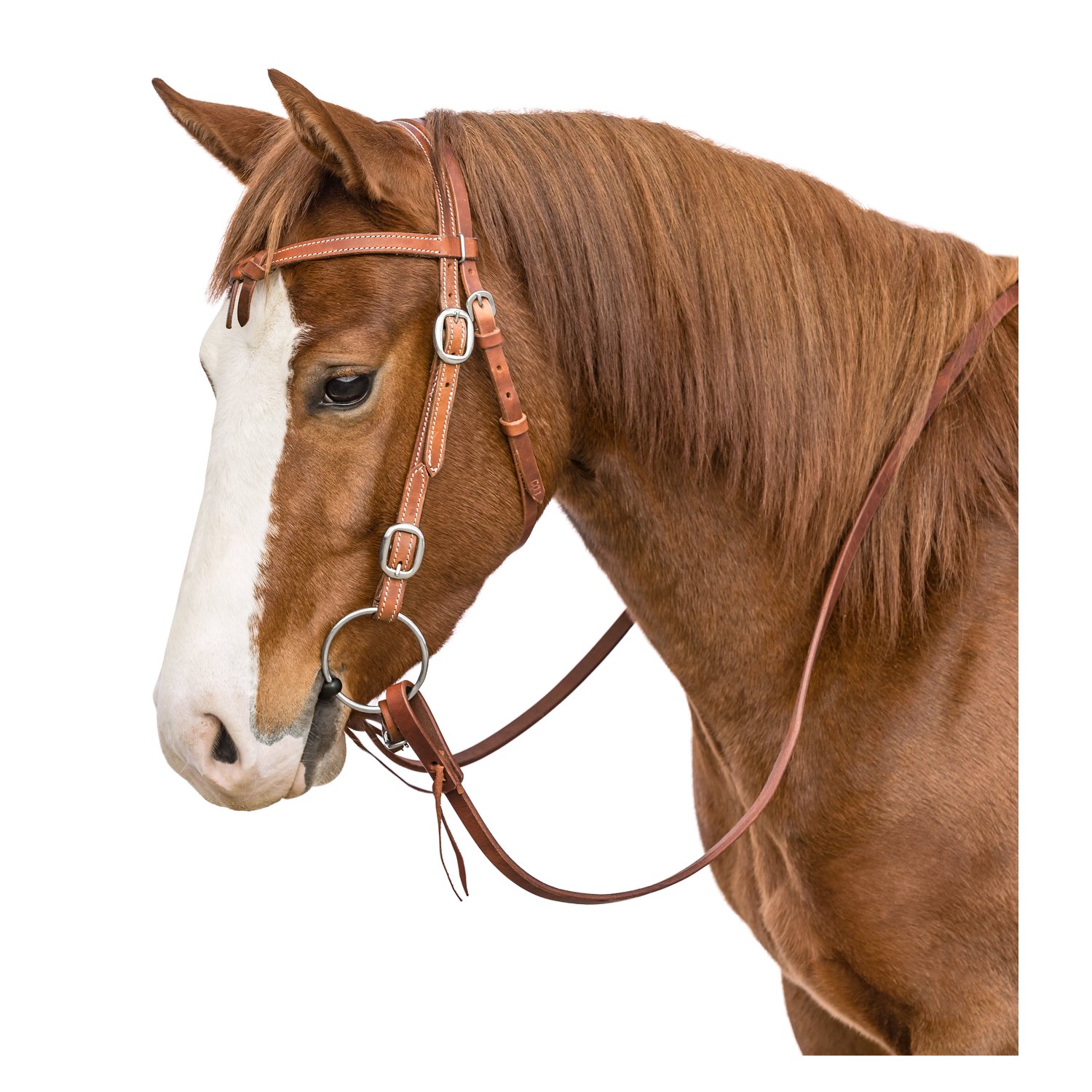L-pro West Westerntrense Hampton – Ansicht 2