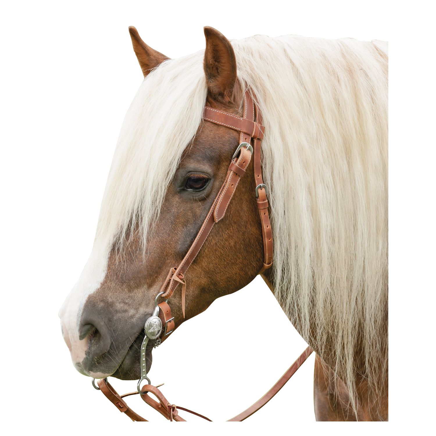 L-pro West Westerntrense Harness X-FULL – Ansicht 1