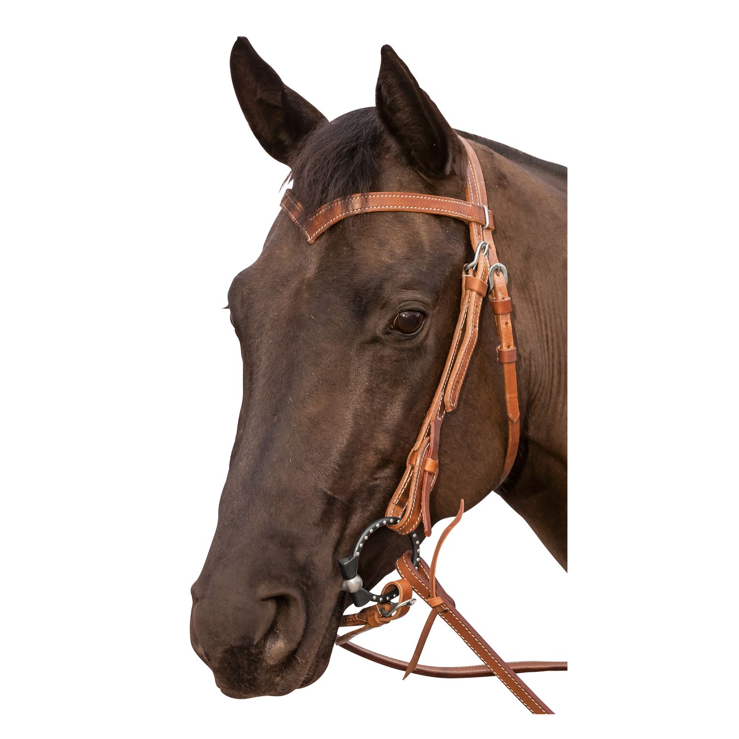 L-pro West Westerntrense Harness – Ansicht 1