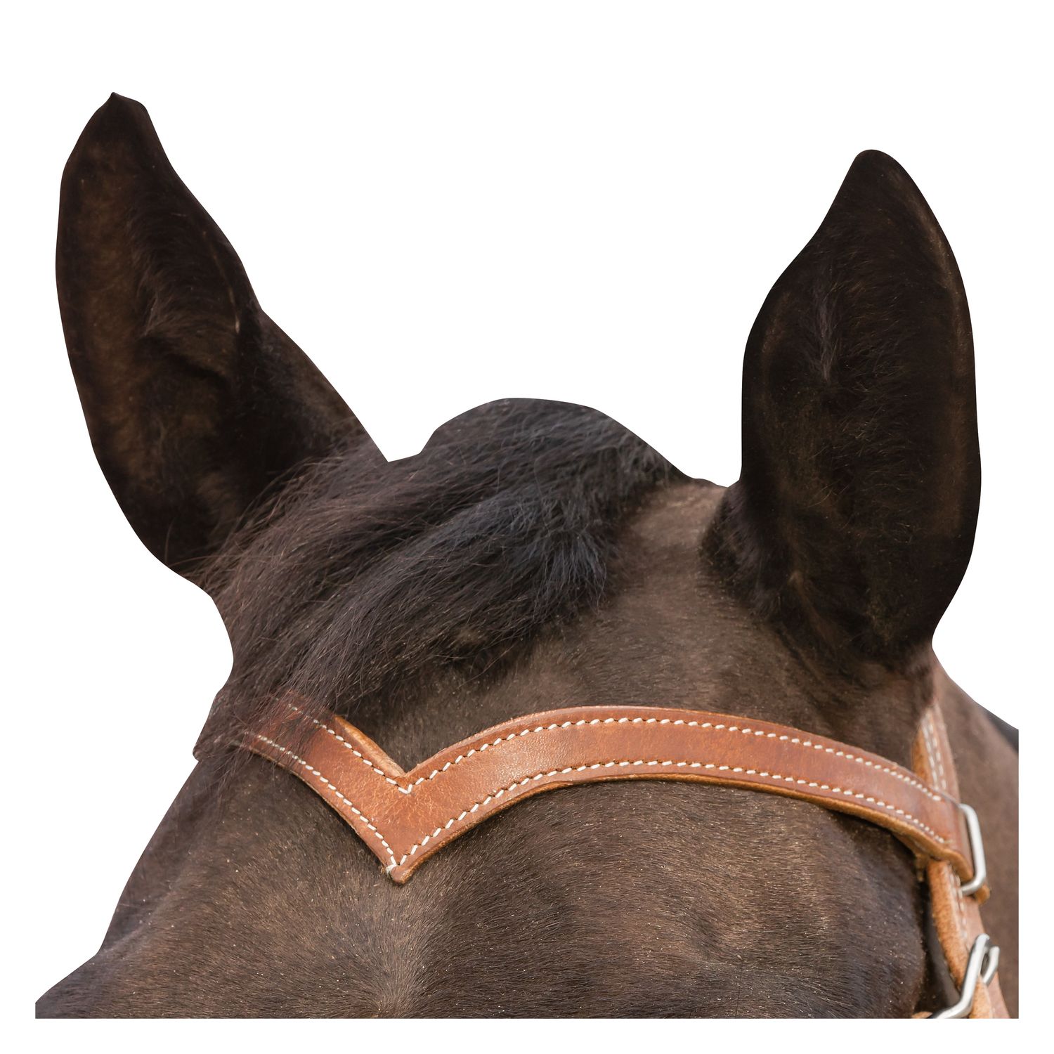 L-pro West Westerntrense Harness – Ansicht 2