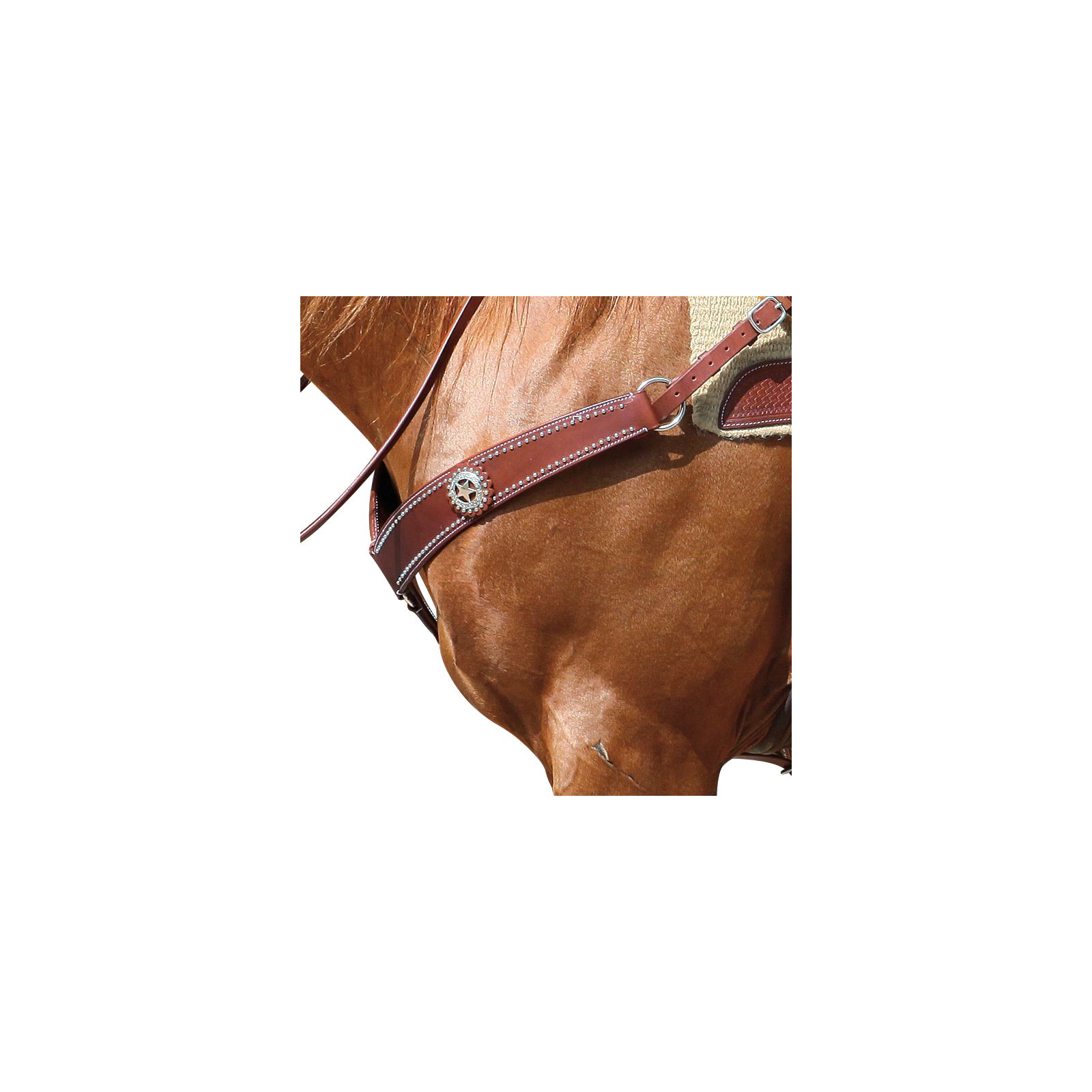 L-pro West Western-Vorderzeug Texas Star &ndash; Ansicht 2