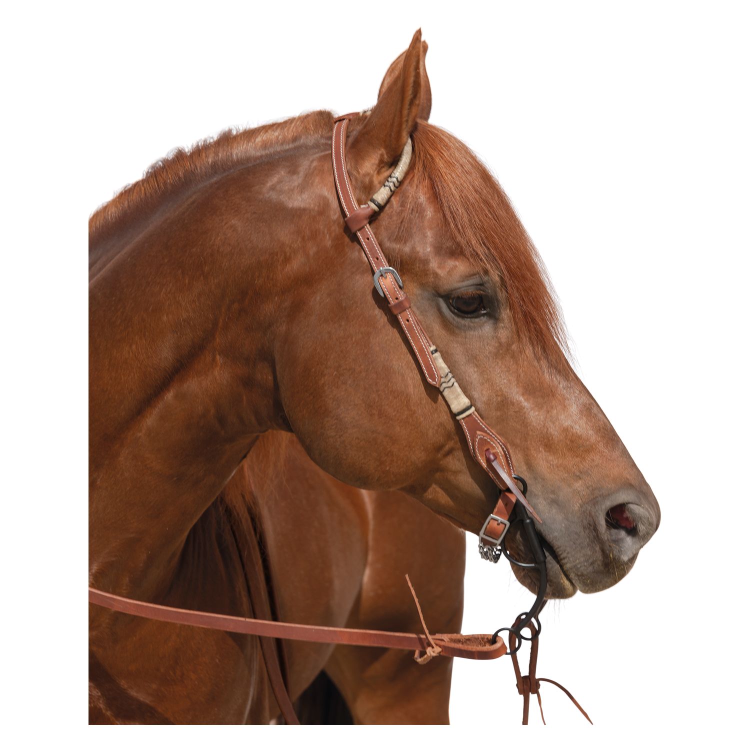 L-pro West Einohr-Westerntrense Amarillo – Ansicht 1