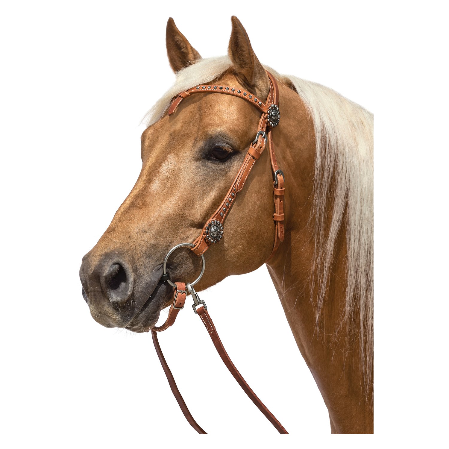 L-pro West Westerntrense Black Rose – Ansicht 1