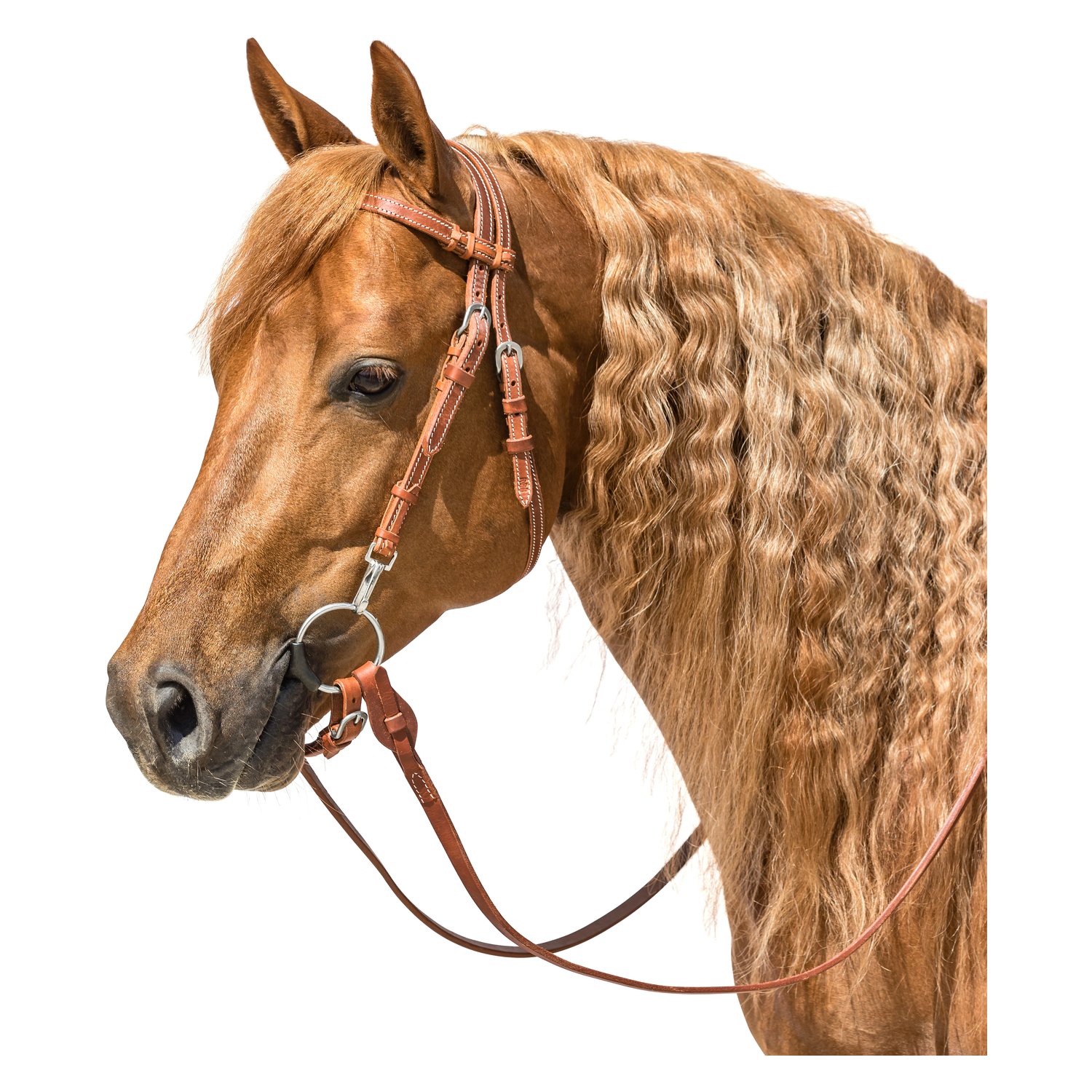 L-pro West Westerntrense Hayward – Ansicht 1