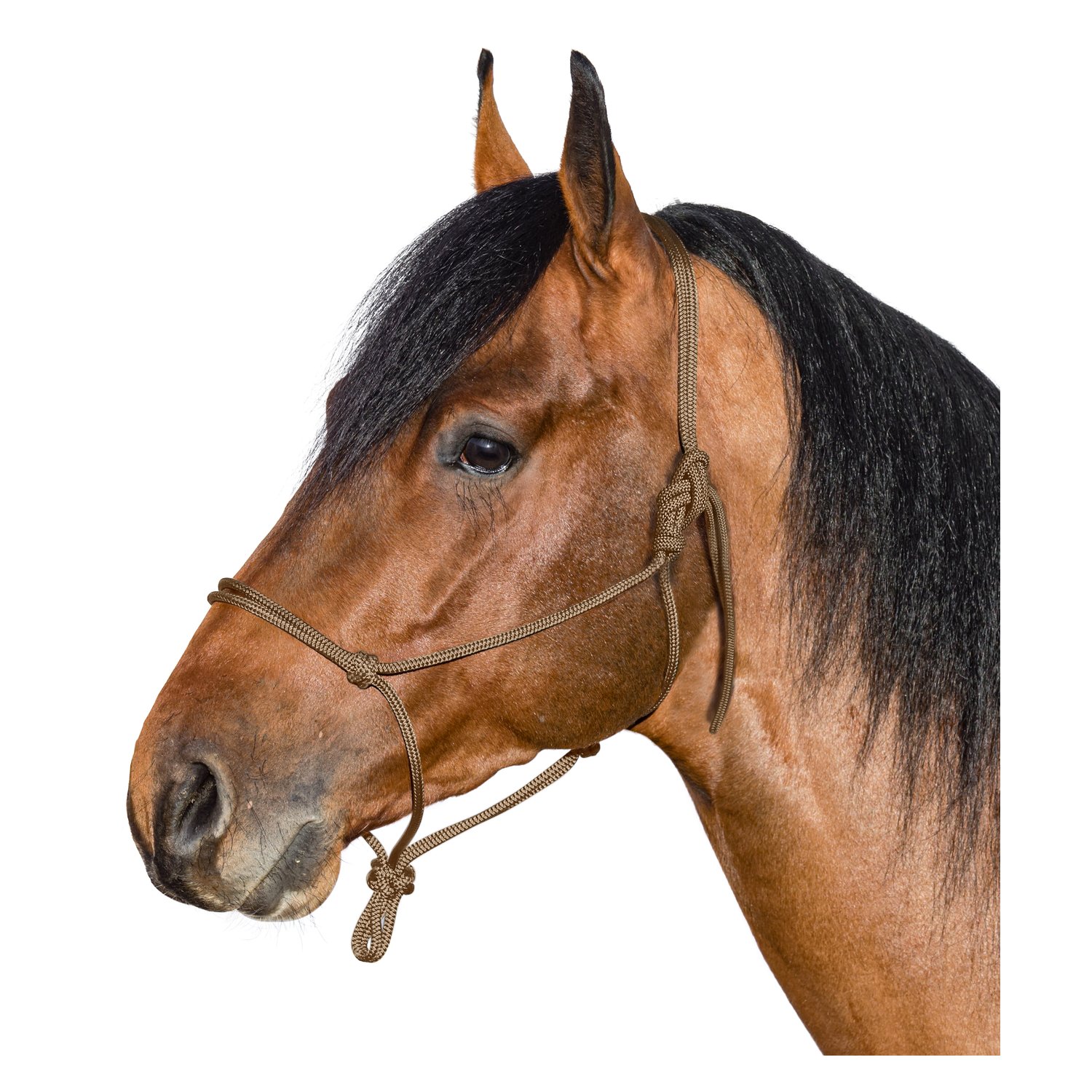 BROCKAMP Knotenhalfter Horse-Man-Halfter – Ansicht 1