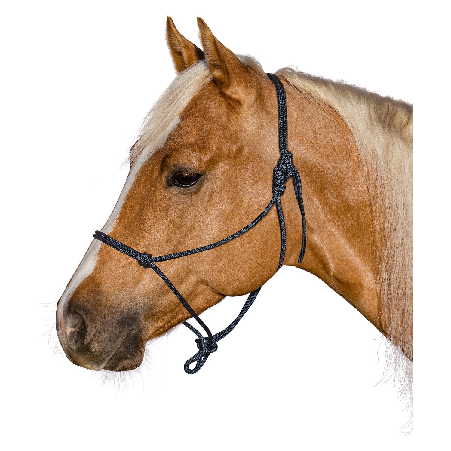 BROCKAMP Knotenhalfter Horse-Man-Halfter – Ansicht 1