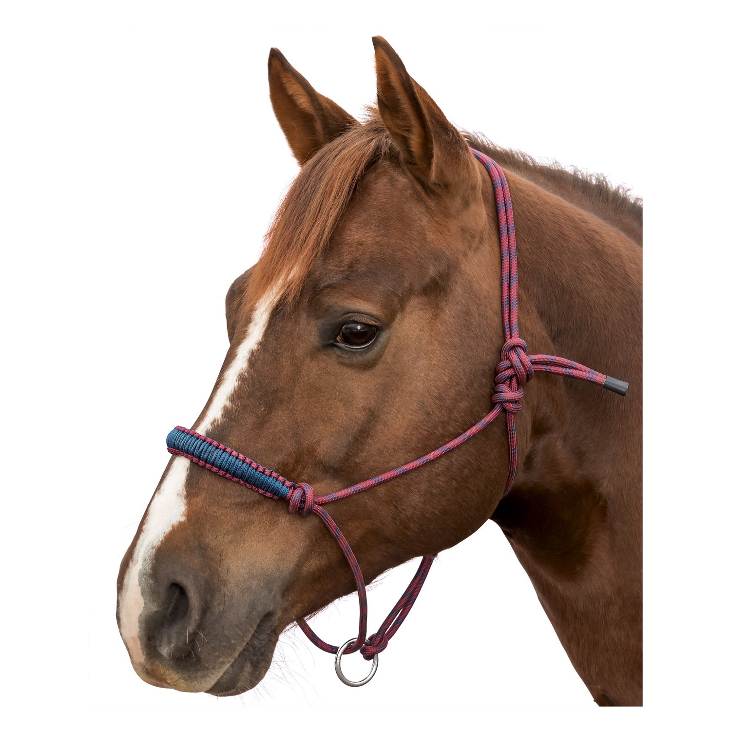 L-pro West Knotenhalfter Bicolor – Ansicht 1