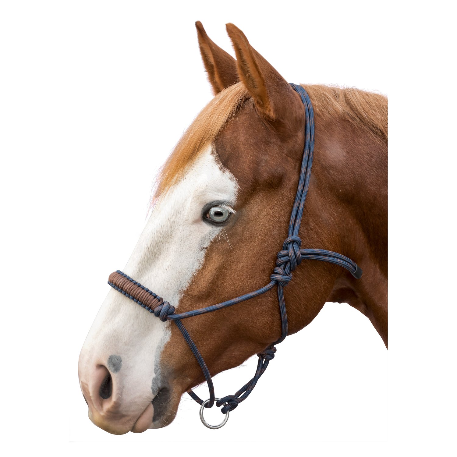 L-pro West Knotenhalfter Bicolor – Ansicht 1