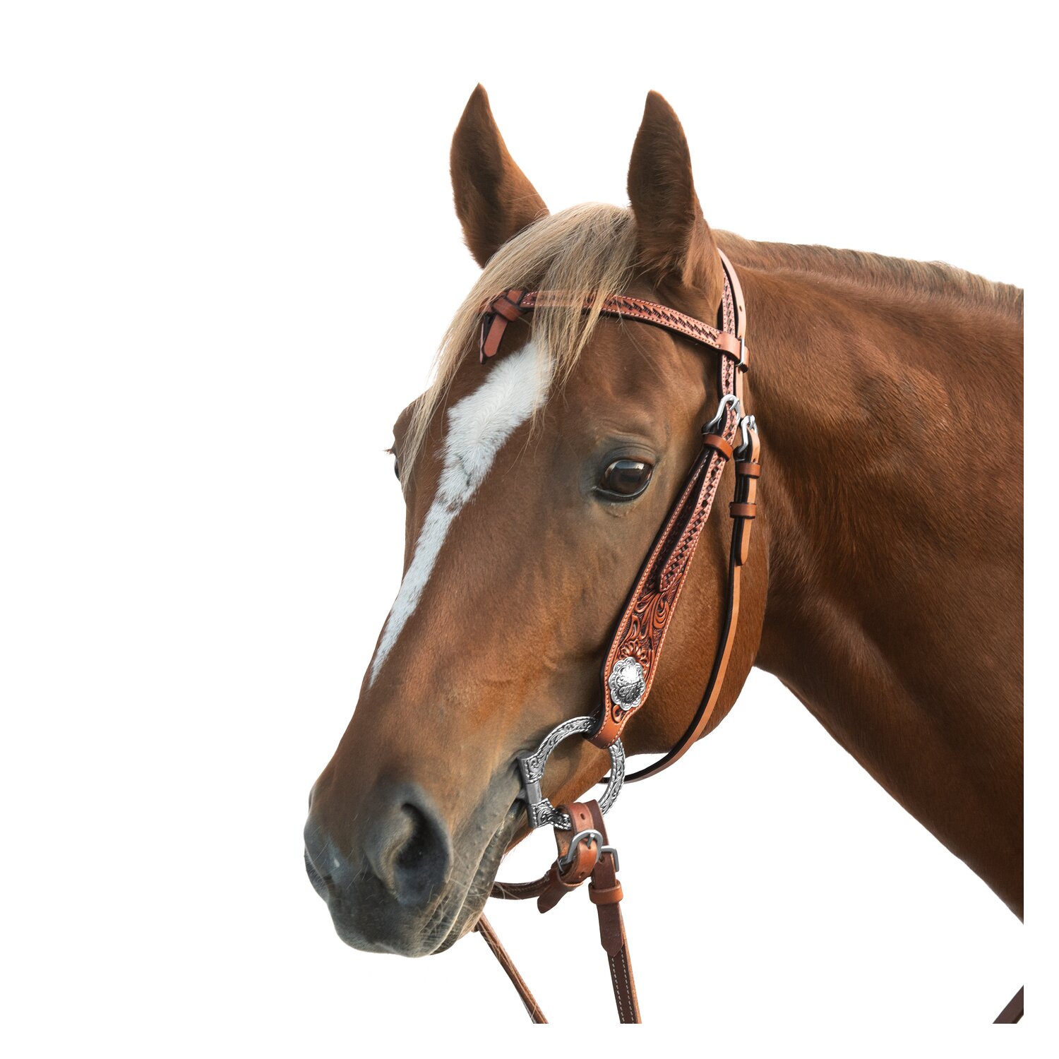 L-pro West Westerntrense – Ansicht 1