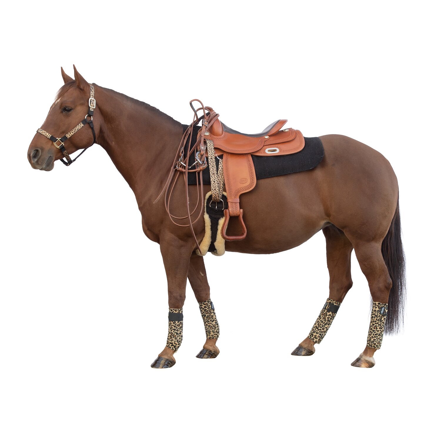 WEAVER LEATHER Latigo-Tie-Strap – Ansicht 2