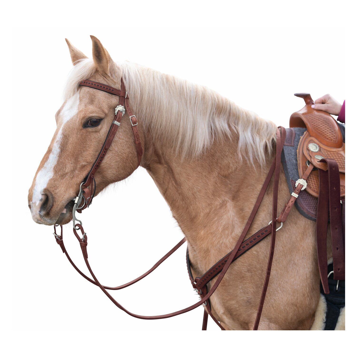 Passion 4Q Westerntrense – Ansicht 1