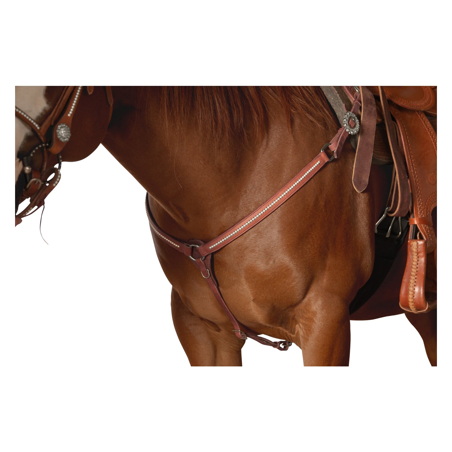 Passion 4Q Western-Vorderzeug – Ansicht 2