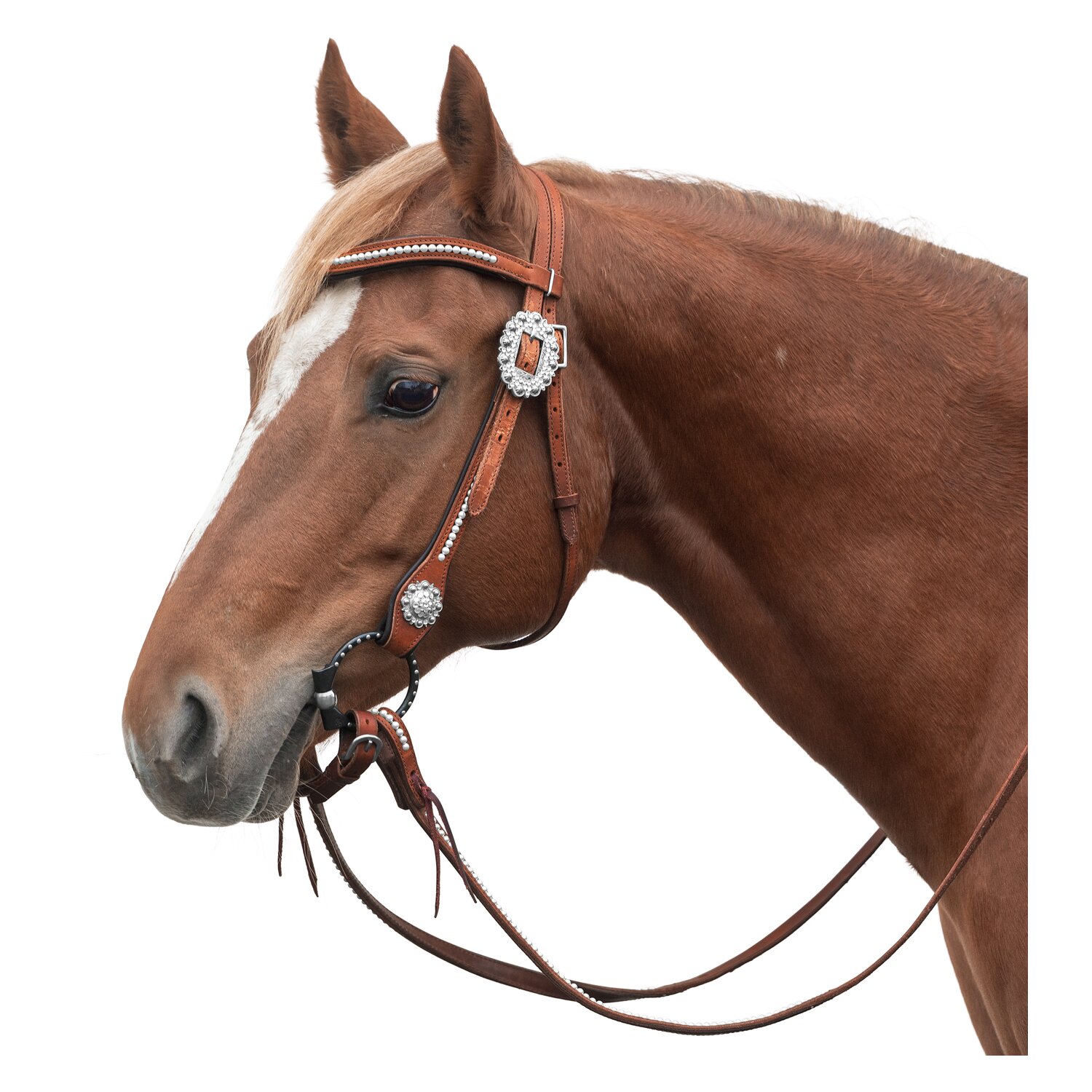 Passion 4Q Westerntrense – Ansicht 1