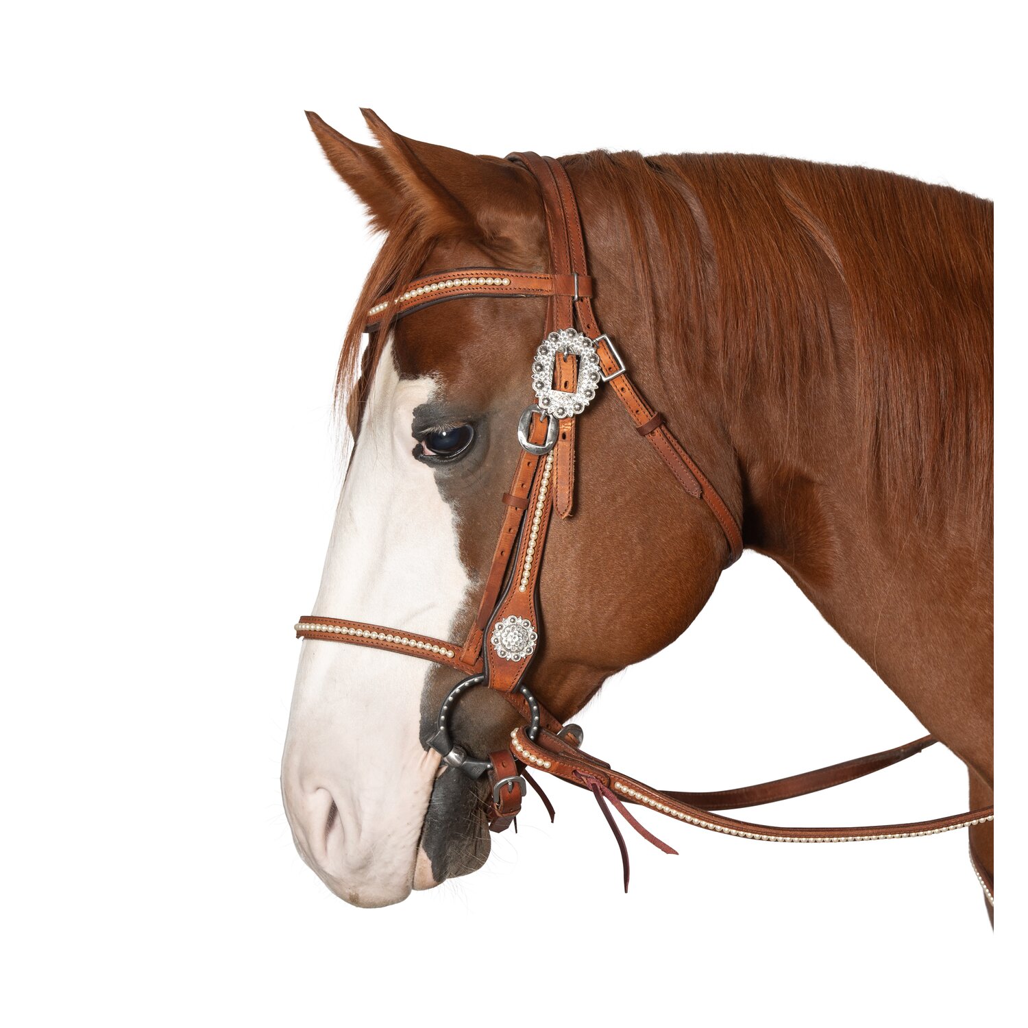 Passion 4Q Westerntrense – Ansicht 2