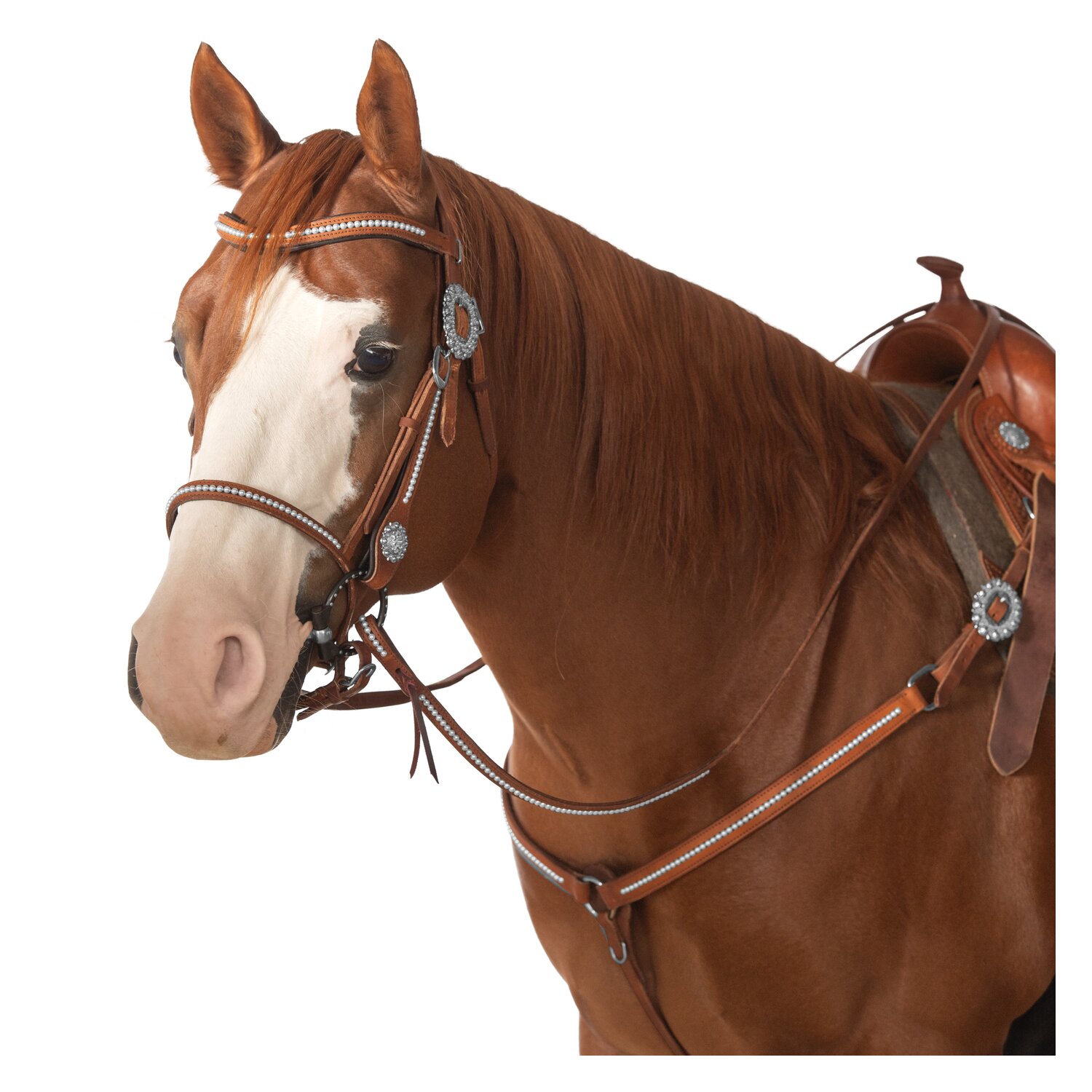 Passion 4Q Westerntrense – Ansicht 3