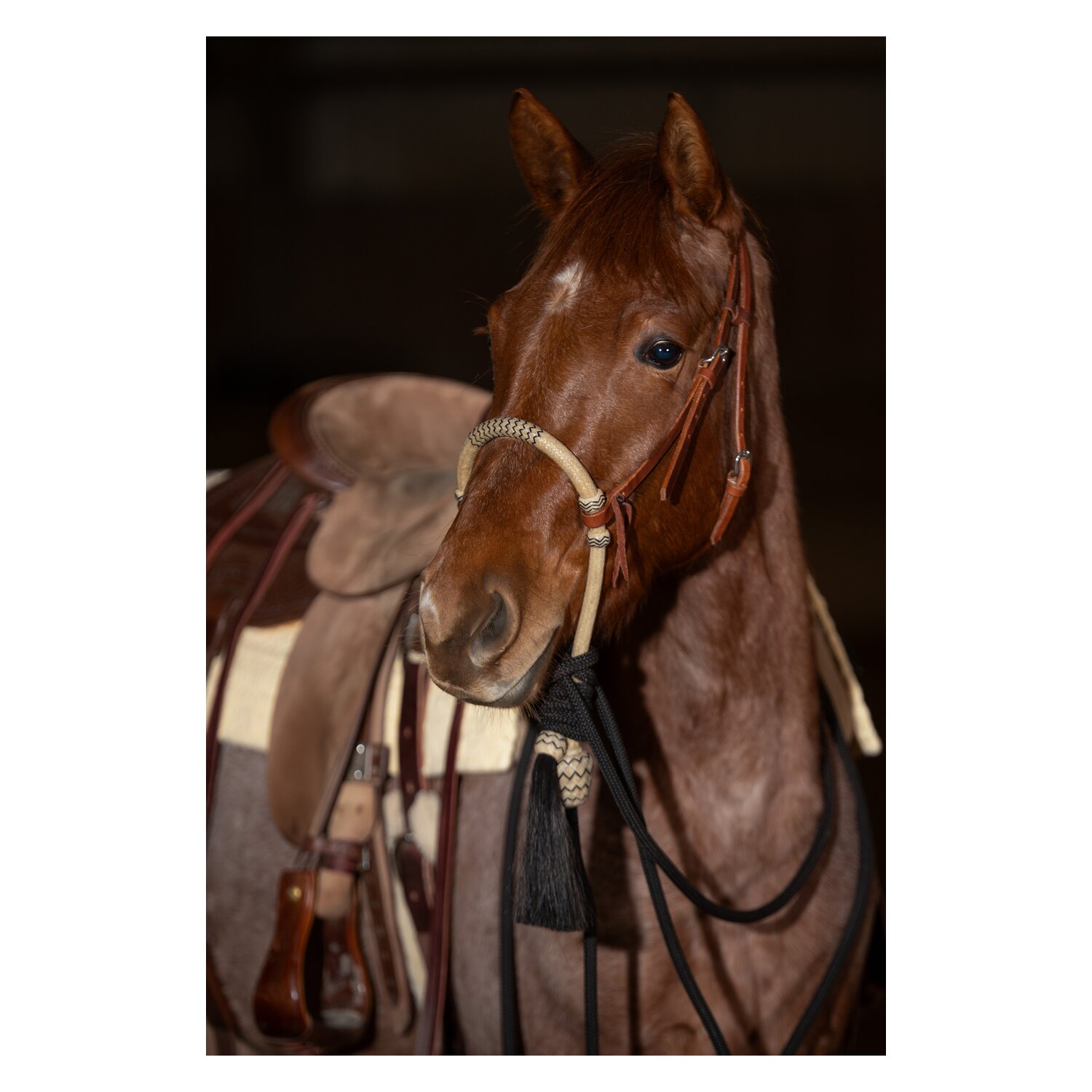 Passion 4Q Bosal Set &ndash; Ansicht 2