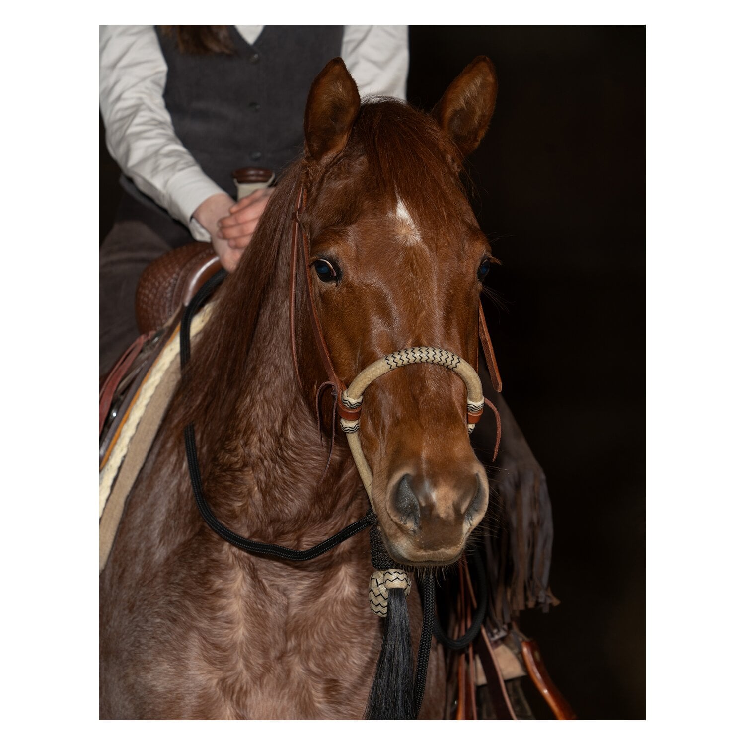 Passion 4Q Bosal Set &ndash; Ansicht 3