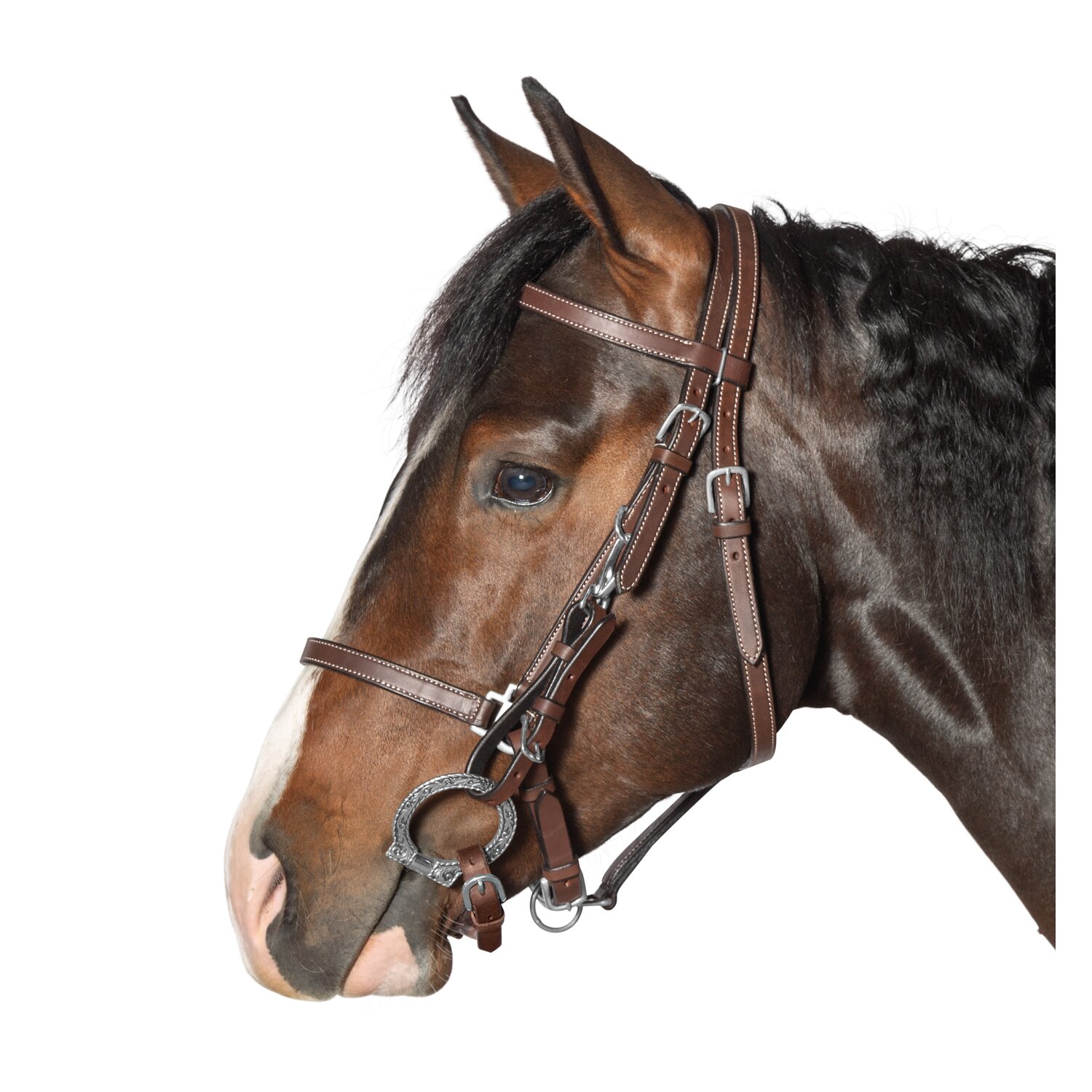 L-pro West Wanderreittrense – Ansicht 1