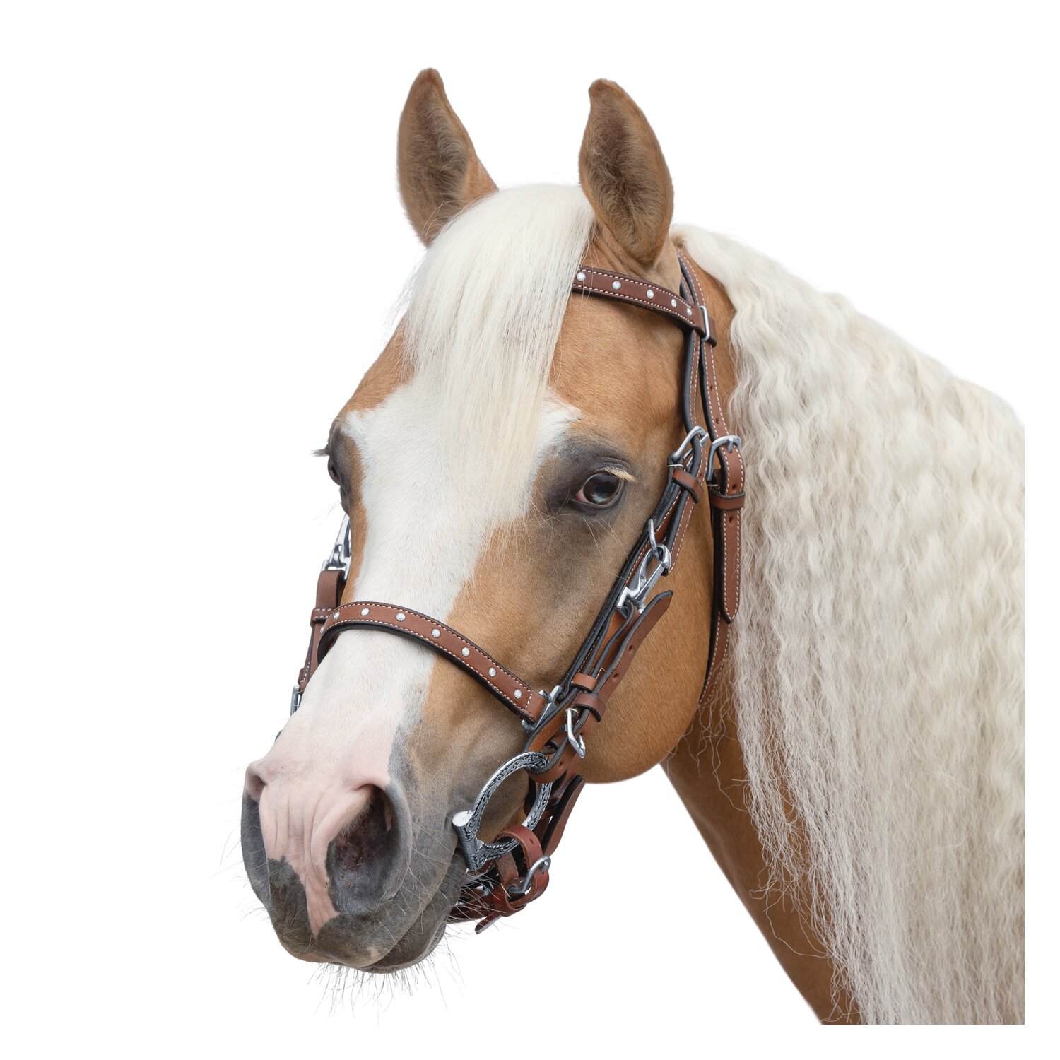 L-pro West Wanderreittrense mit Steinchen – Ansicht 1