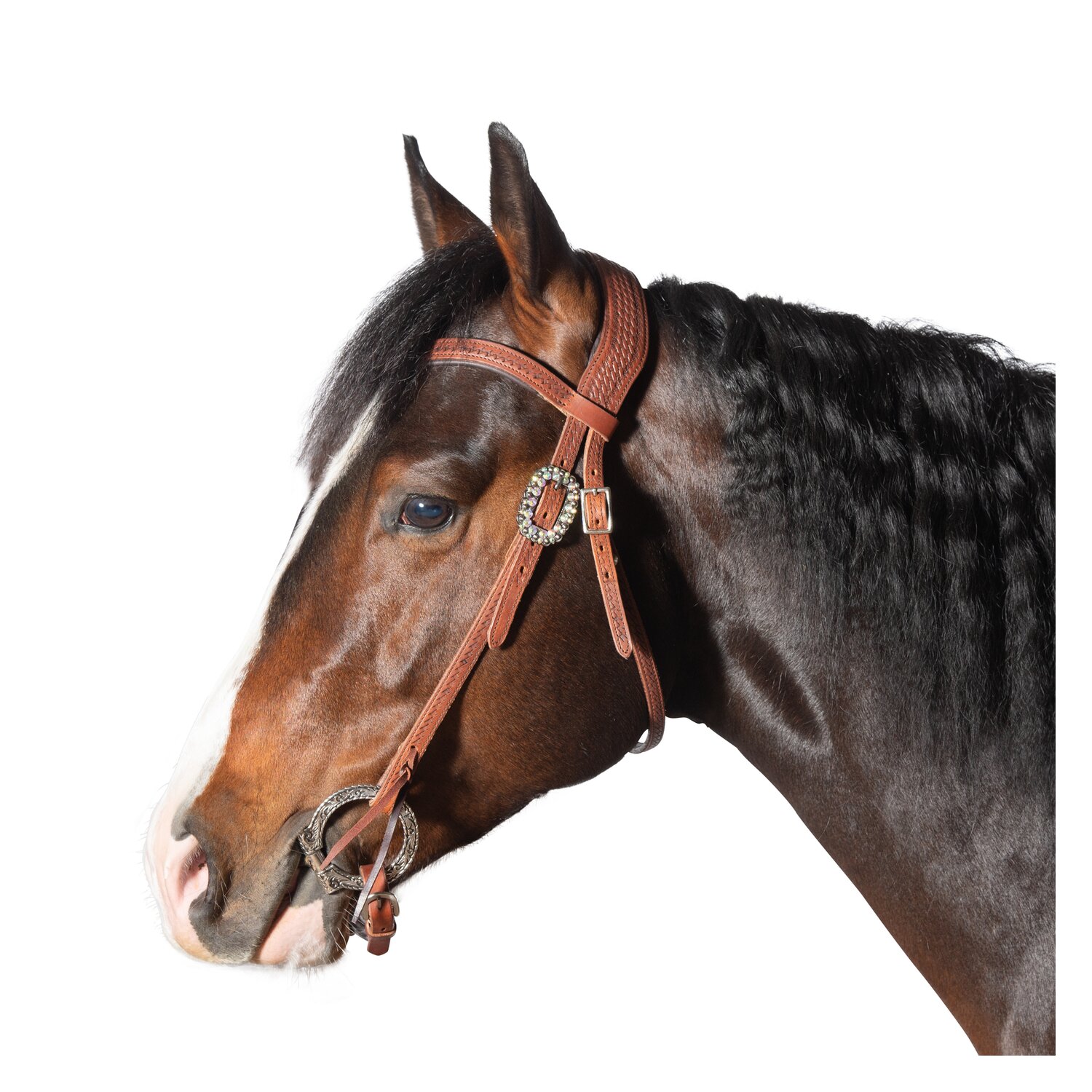 Passion 4Q Westerntrense – Ansicht 1