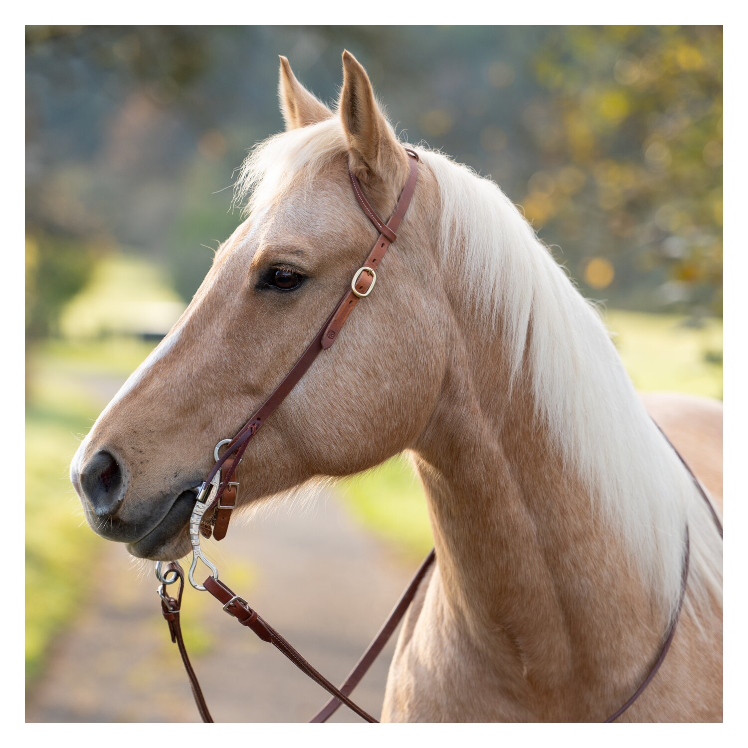 Passion 4Q Einohr-Westerntrense – Ansicht 1