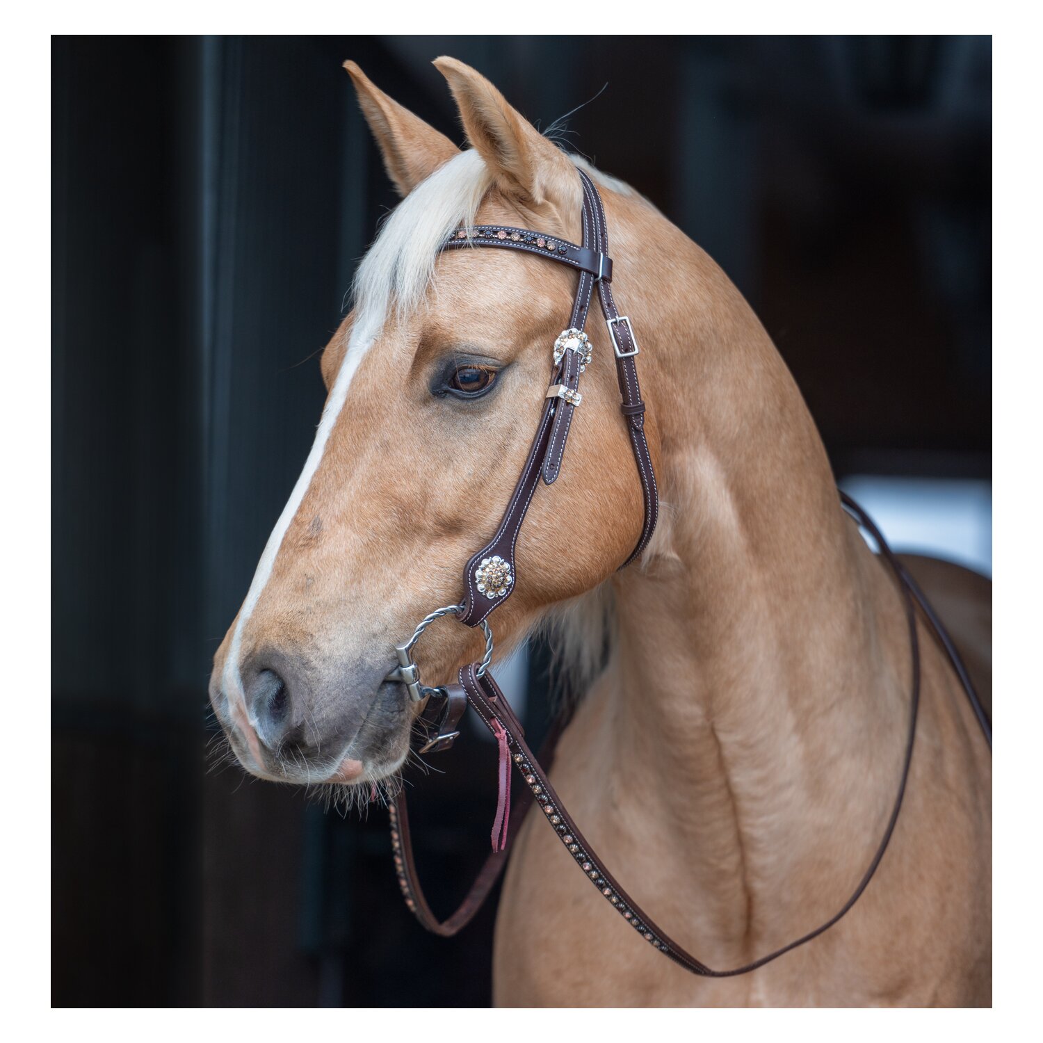 Passion 4Q Westerntrense – Ansicht 1