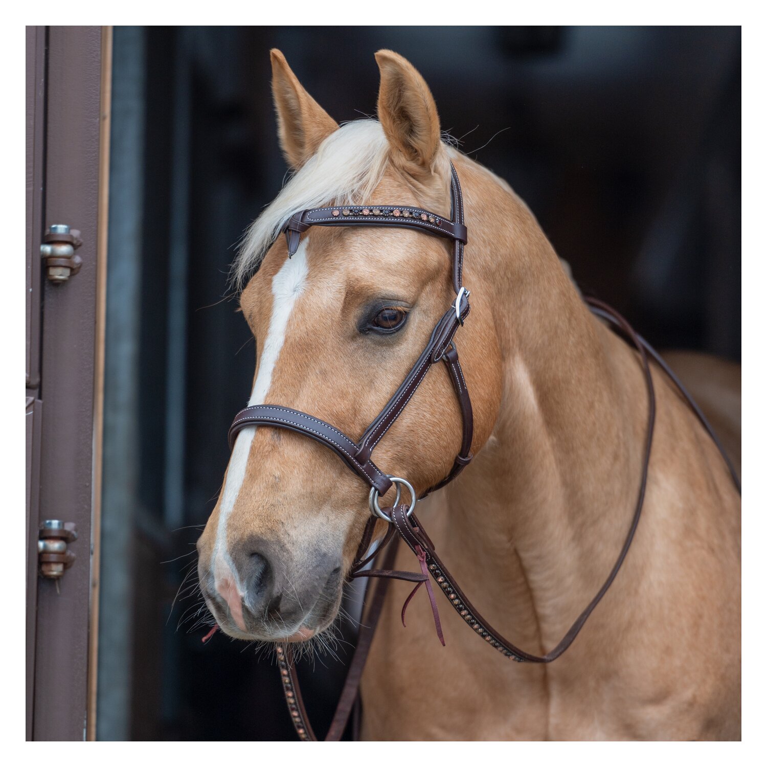 Passion 4Q Sidepull – Ansicht 1