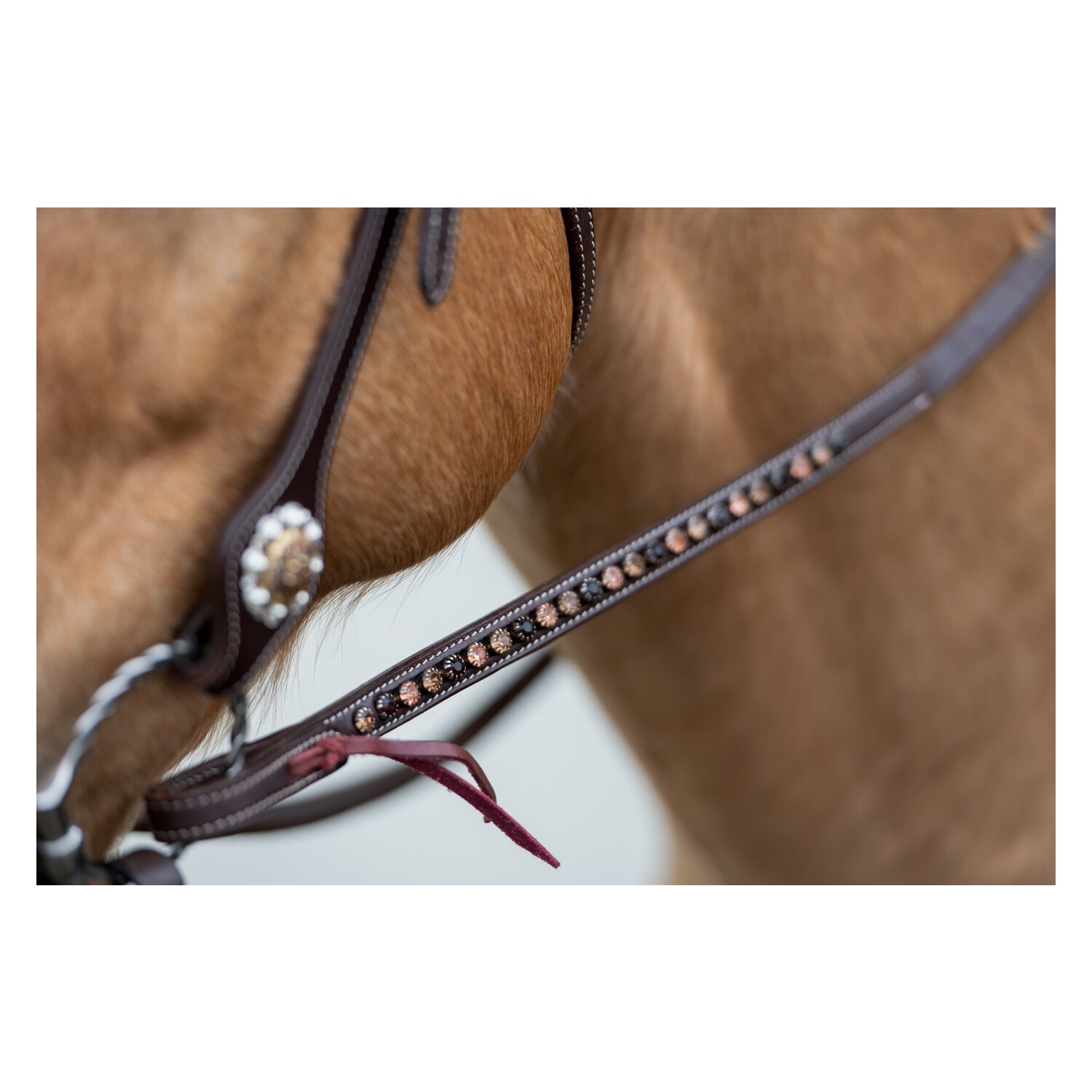 Passion 4Q Westernzügel – Ansicht 1