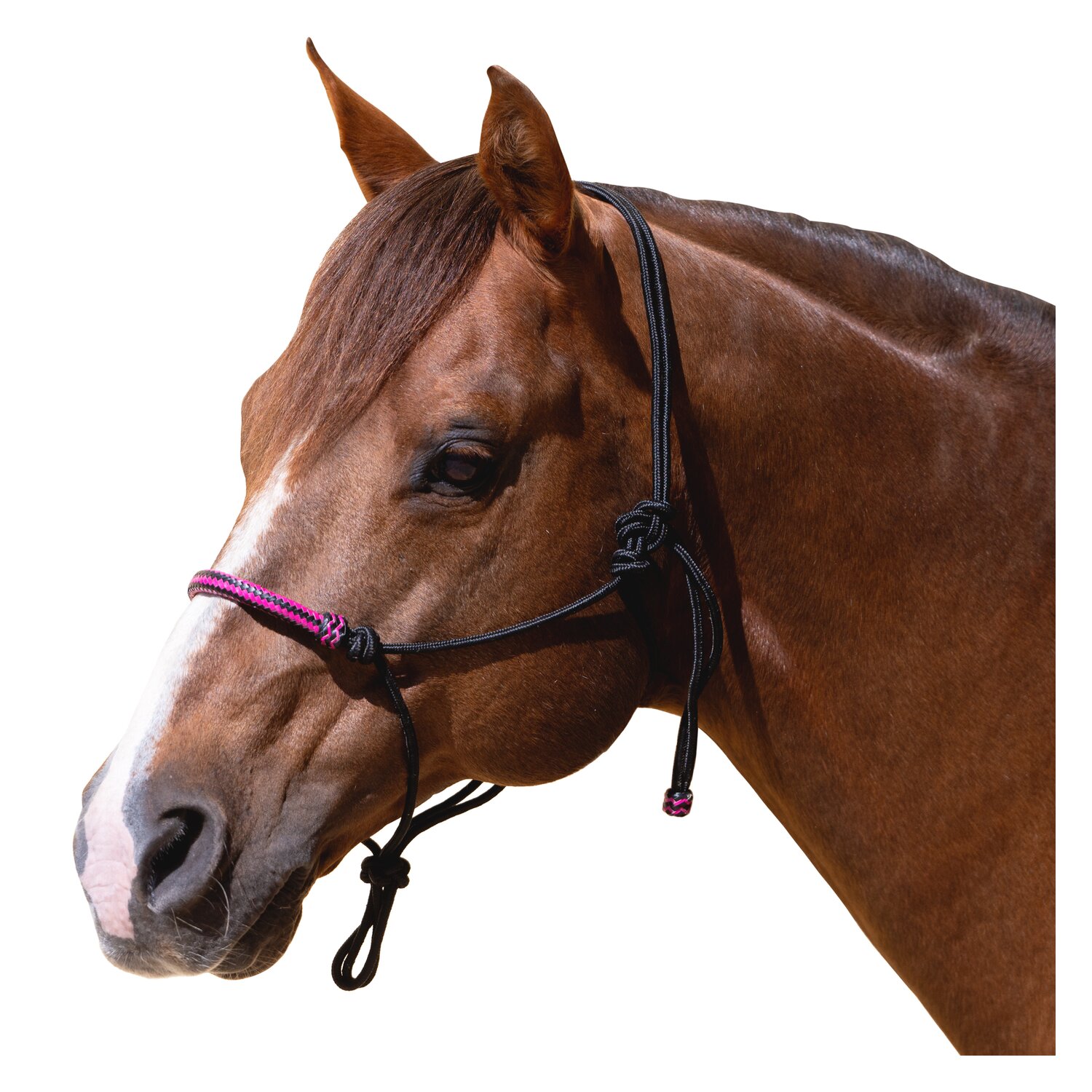 Passion 4Q Knotenhalfter mit Rohhaut – Ansicht 1