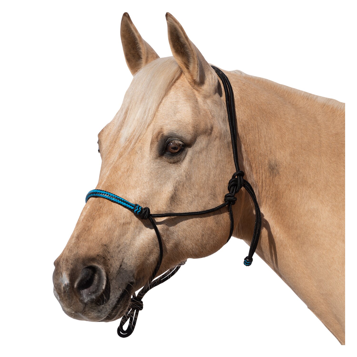 Passion 4Q Knotenhalfter mit Rohhaut – Ansicht 2