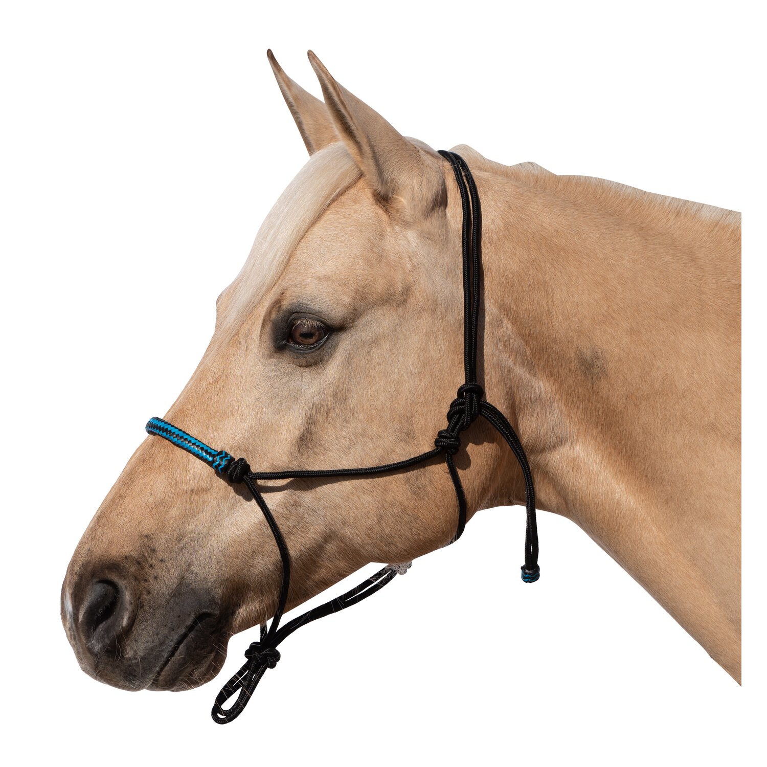 Passion 4Q Knotenhalfter mit Rohhaut – Ansicht 1