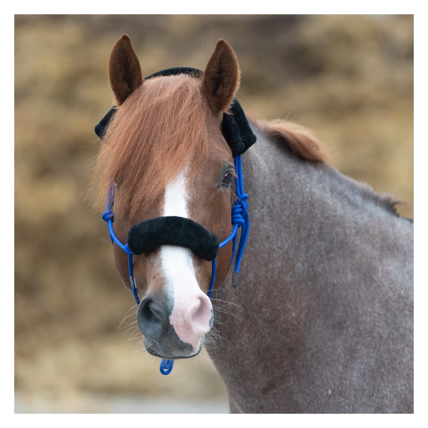 Passion 4Q Knotenhalfter mit Fell – Ansicht 2