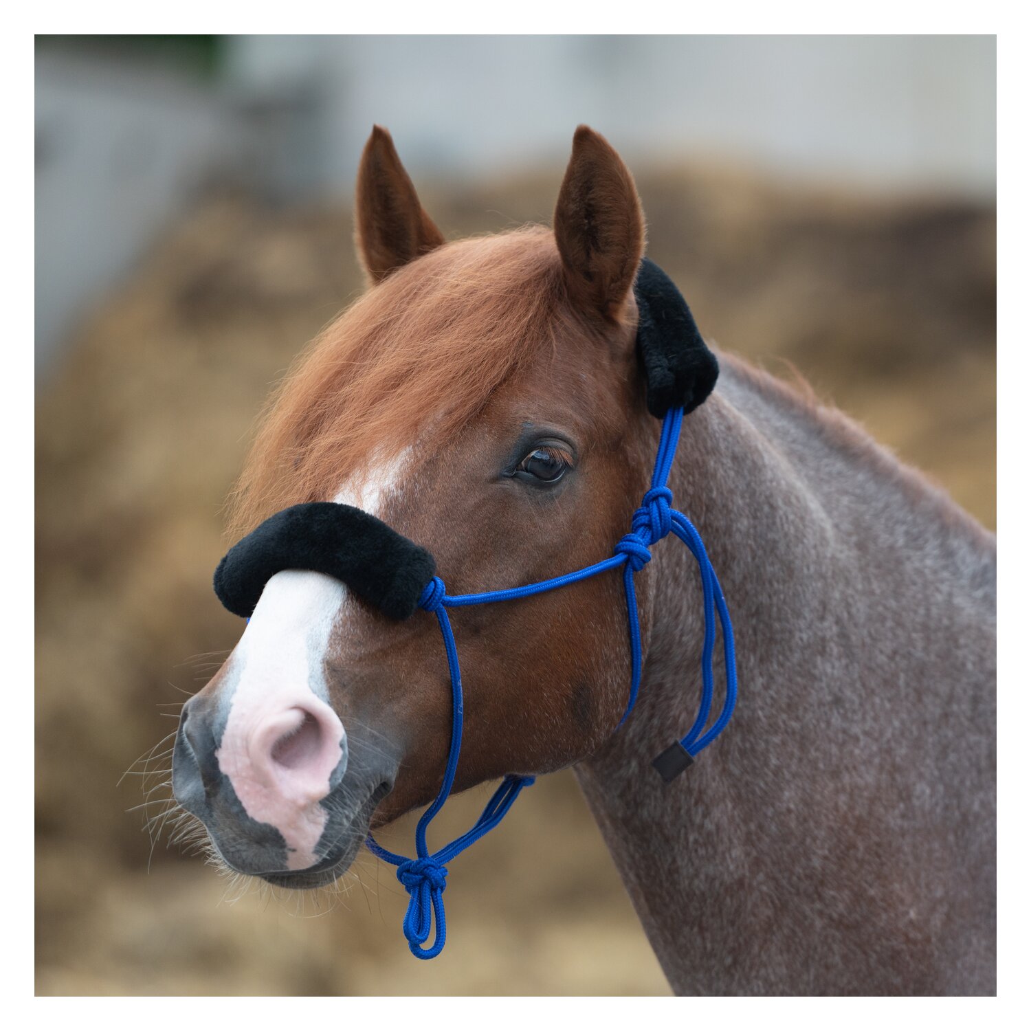 Passion 4Q Knotenhalfter mit Fell – Ansicht 1