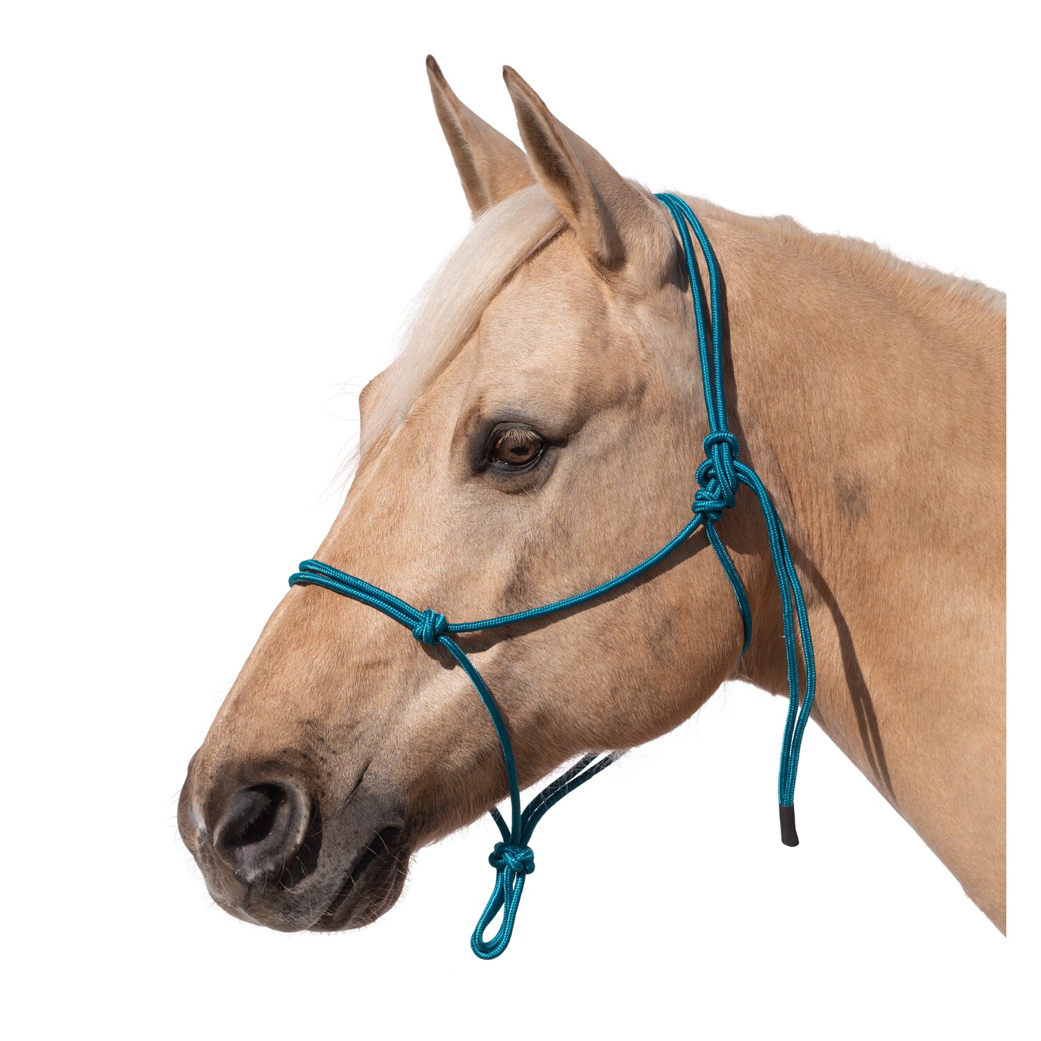 Passion 4Q Knotenhalfter – Ansicht 1