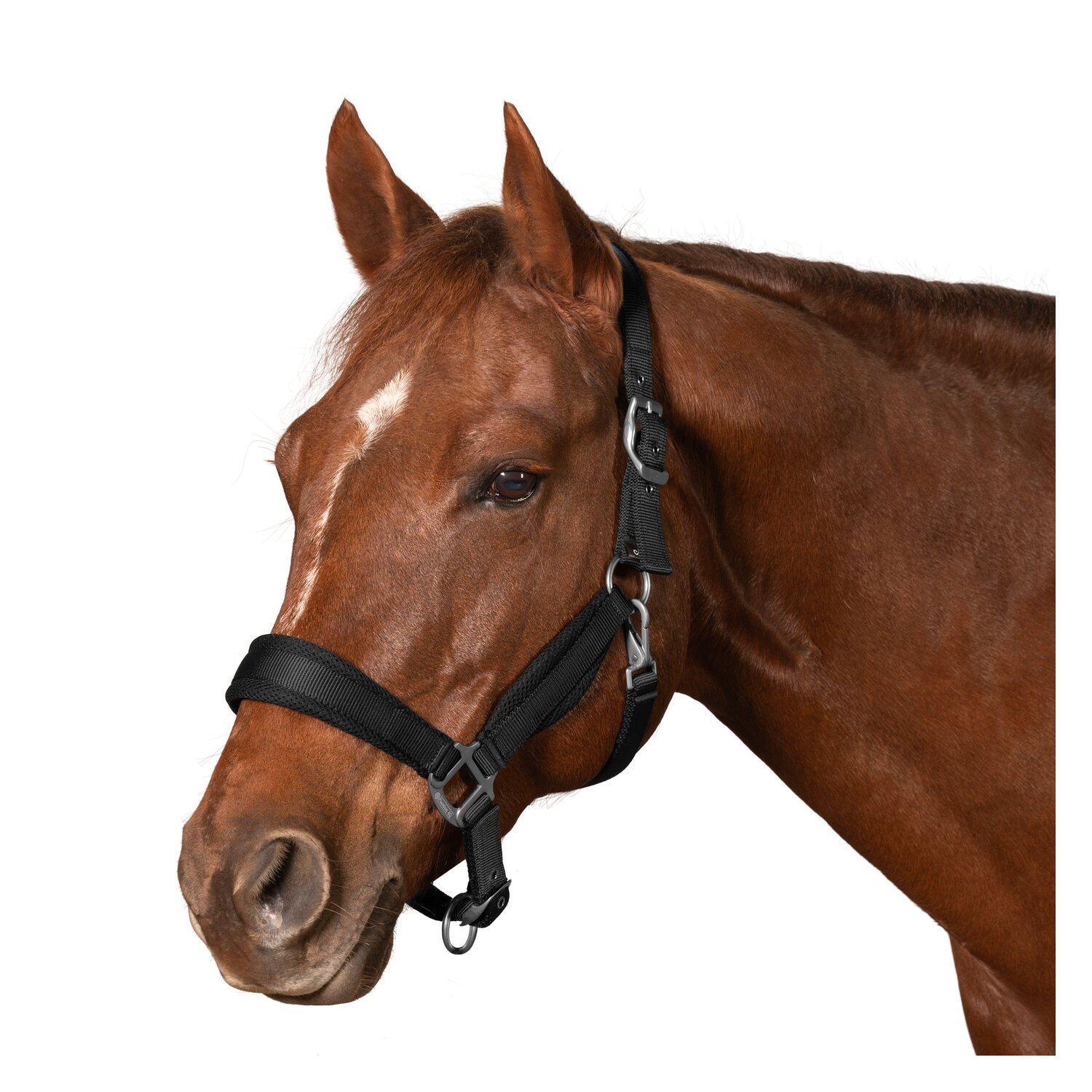 Passion 4Q Nylon Halfter &ndash; Ansicht 1