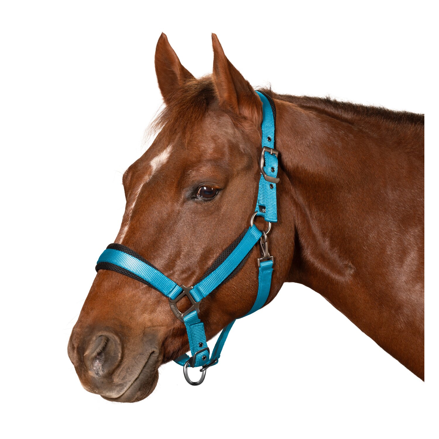 Passion 4Q Nylon Halfter &ndash; Ansicht 1